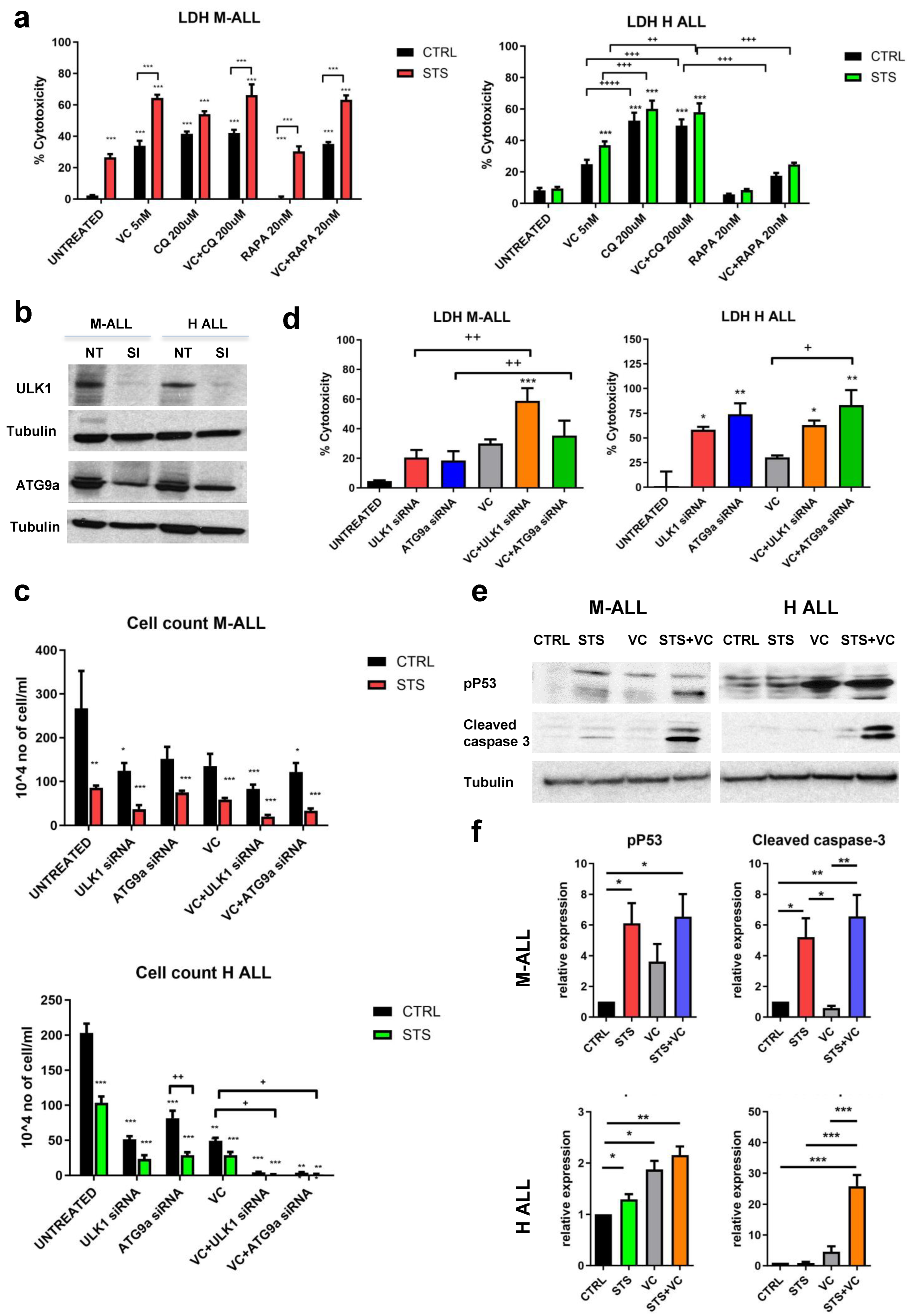 Cancers 15 05870 g005 Cancers 15 05870 g005