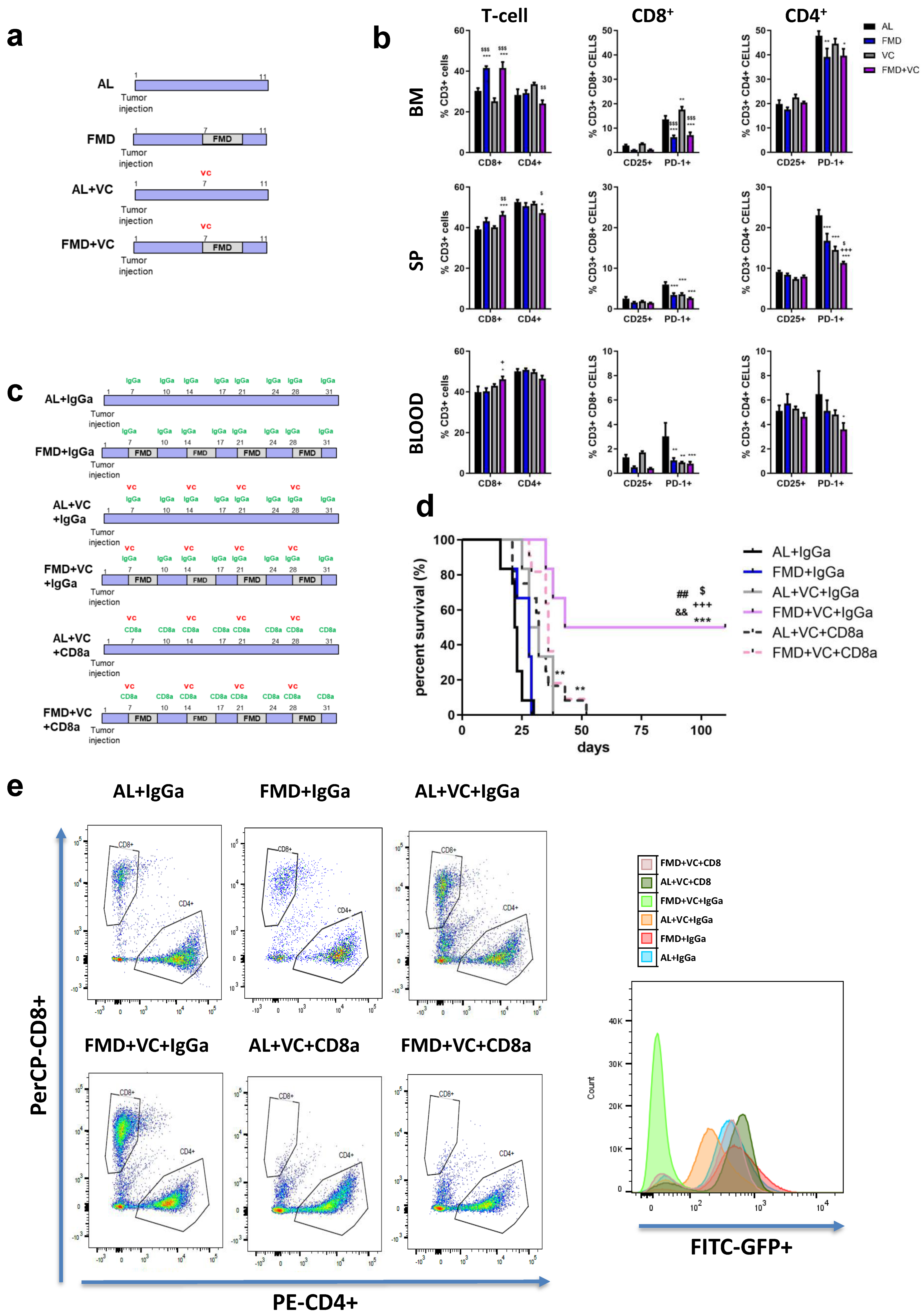 Cancers 15 05870 g006 Cancers 15 05870 g006