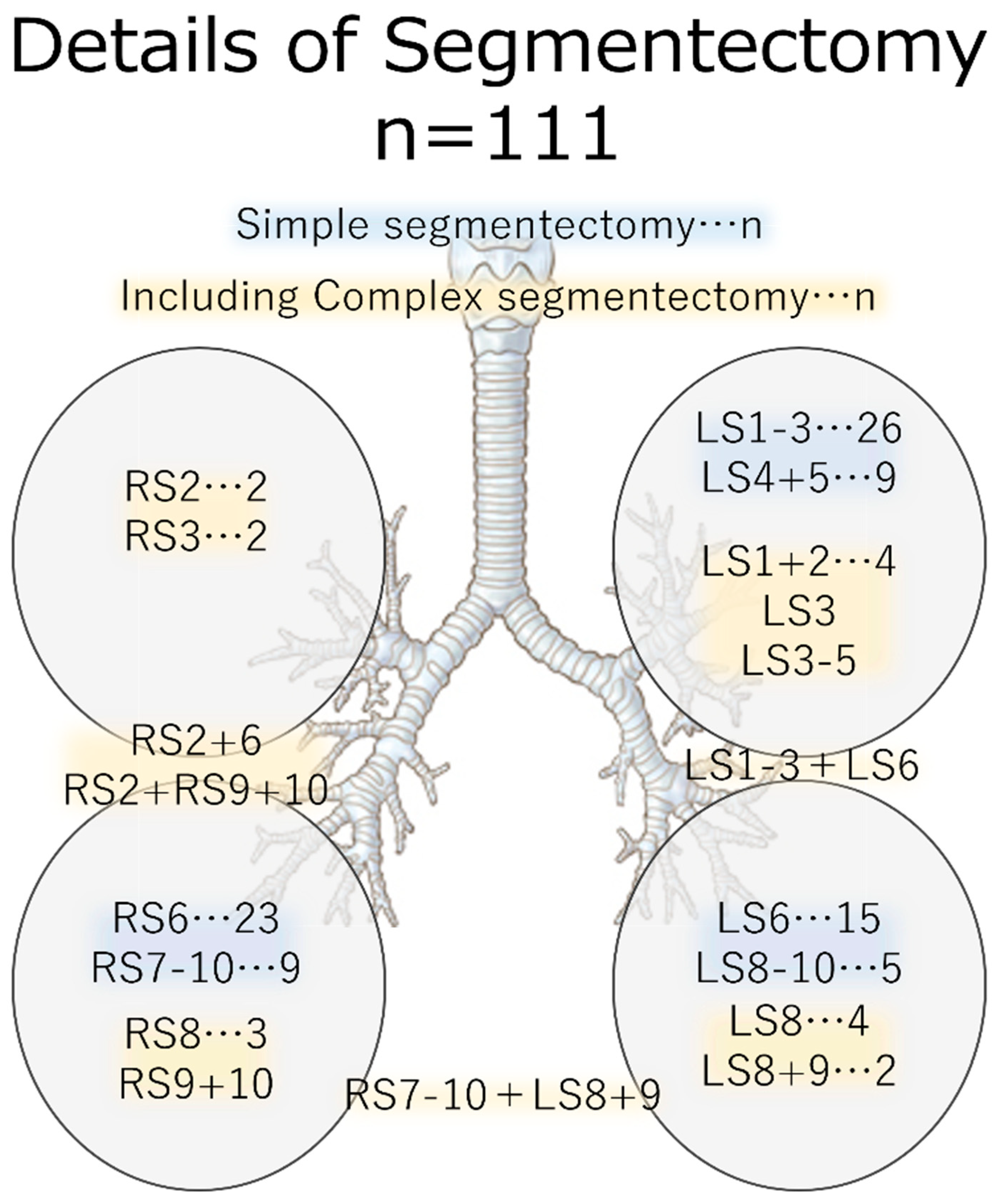 Cancers 15 05876 g002 Cancers 15 05876 g002