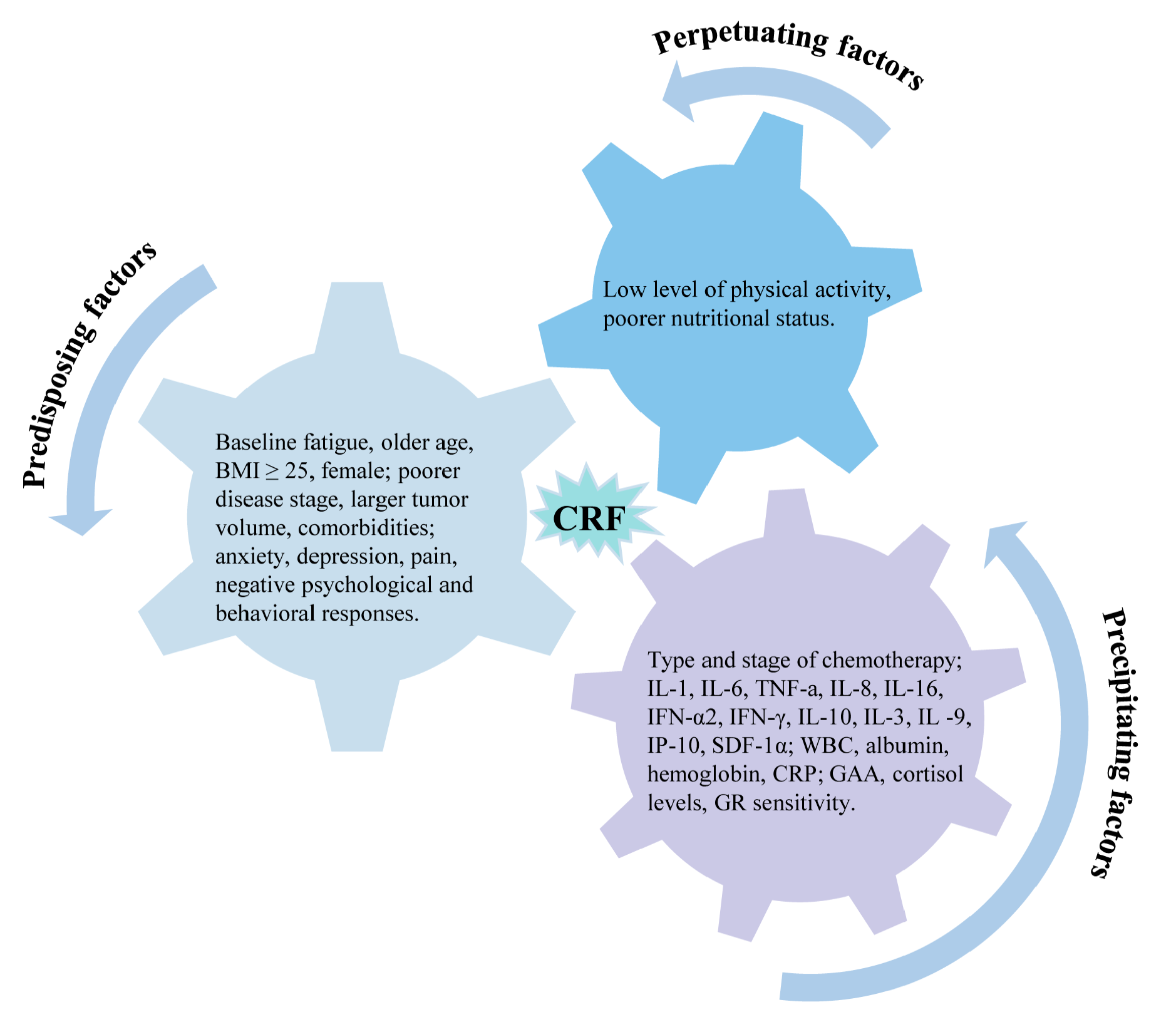 Cancers 15 05879 g003