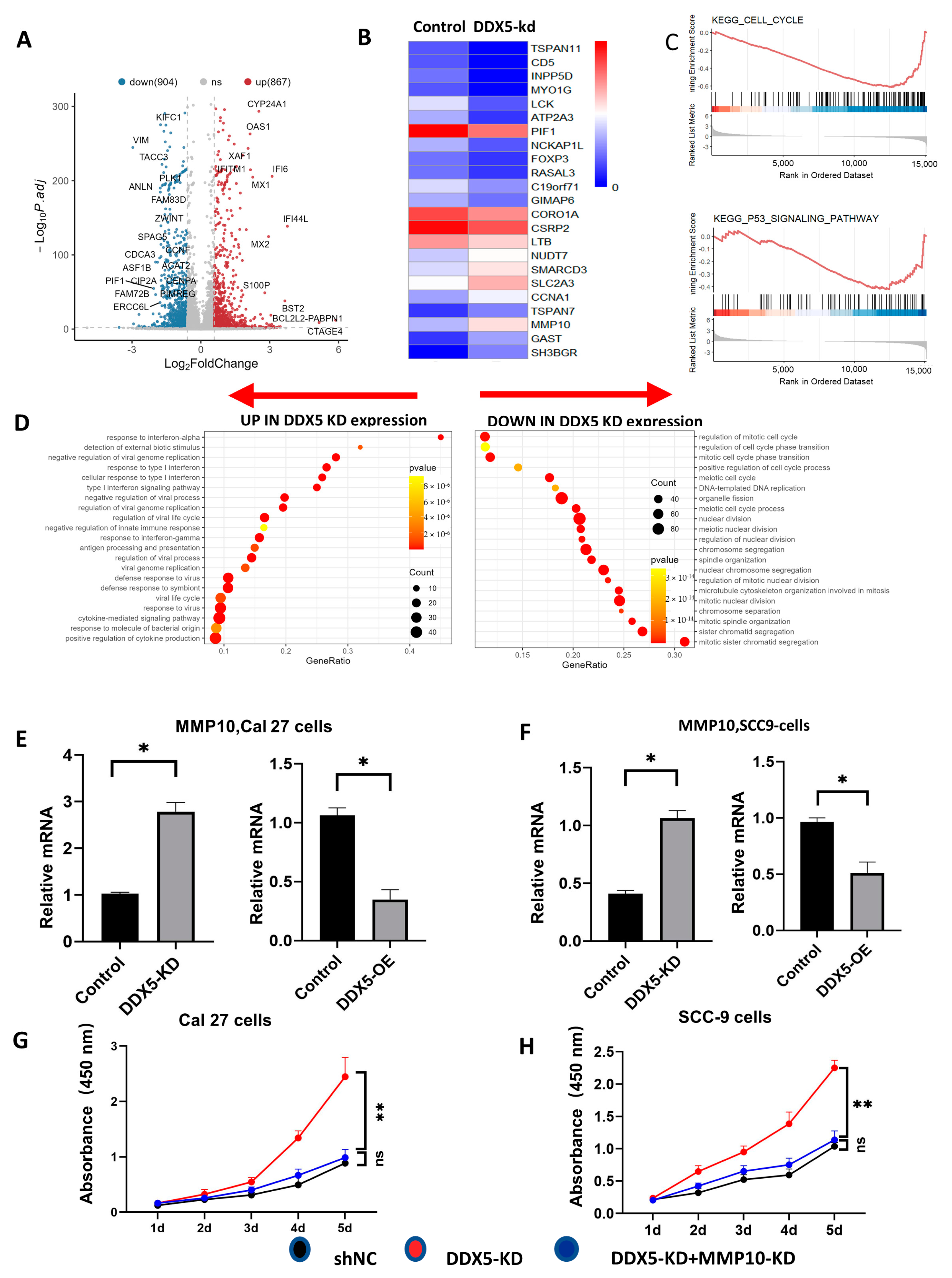 Cancers 15 05882 g003
