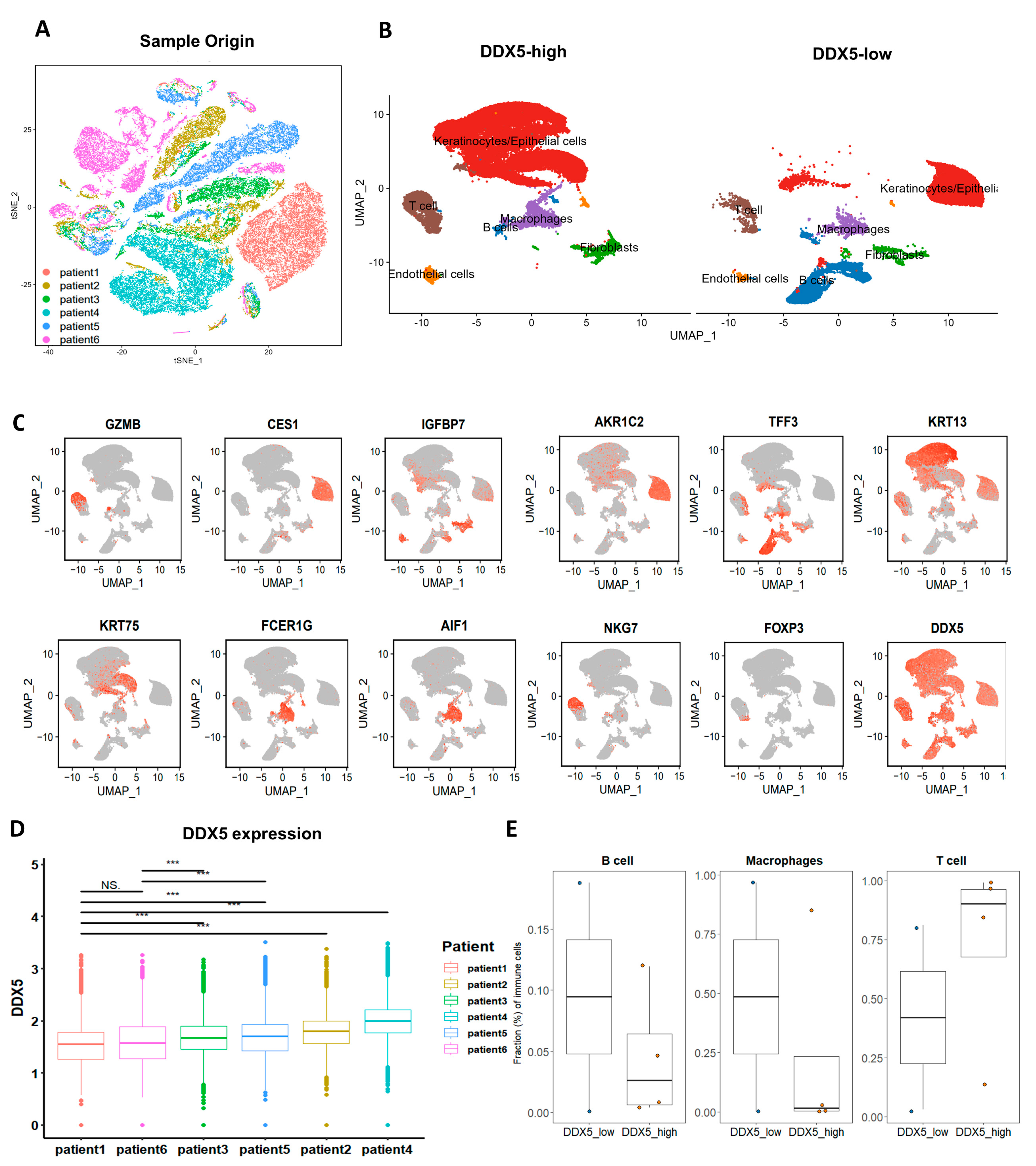 Cancers 15 05882 g005