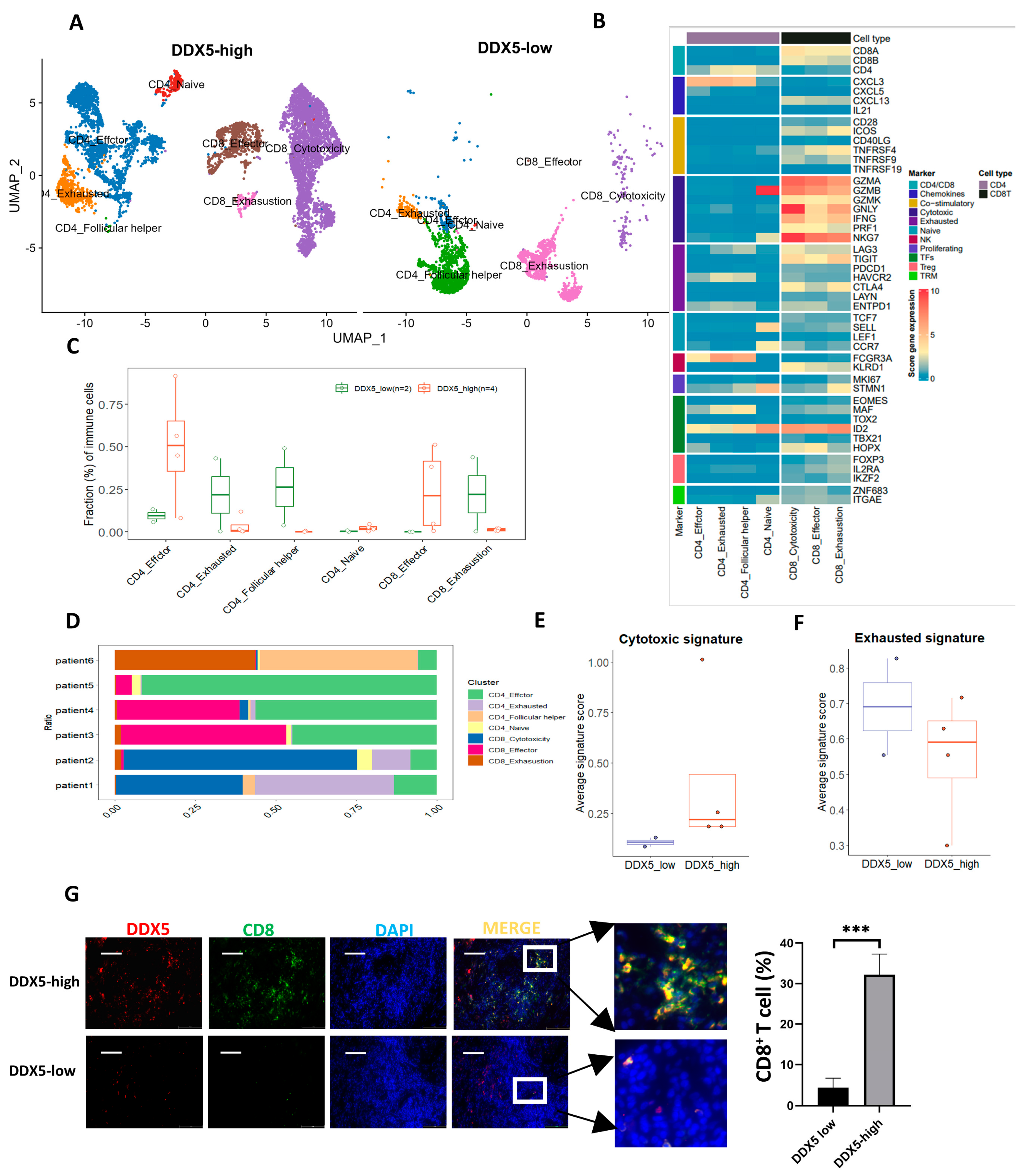 Cancers 15 05882 g006