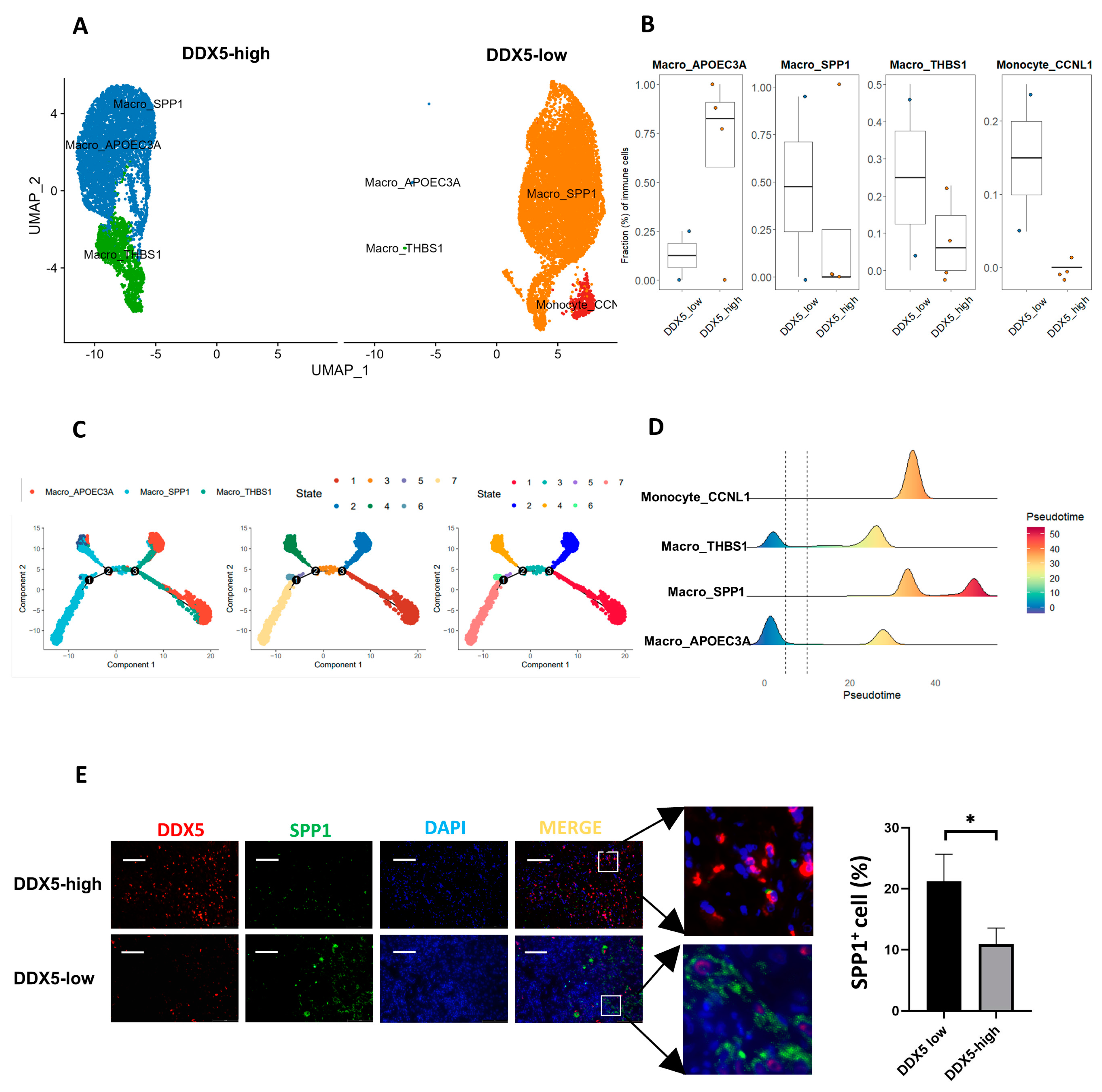 Cancers 15 05882 g007