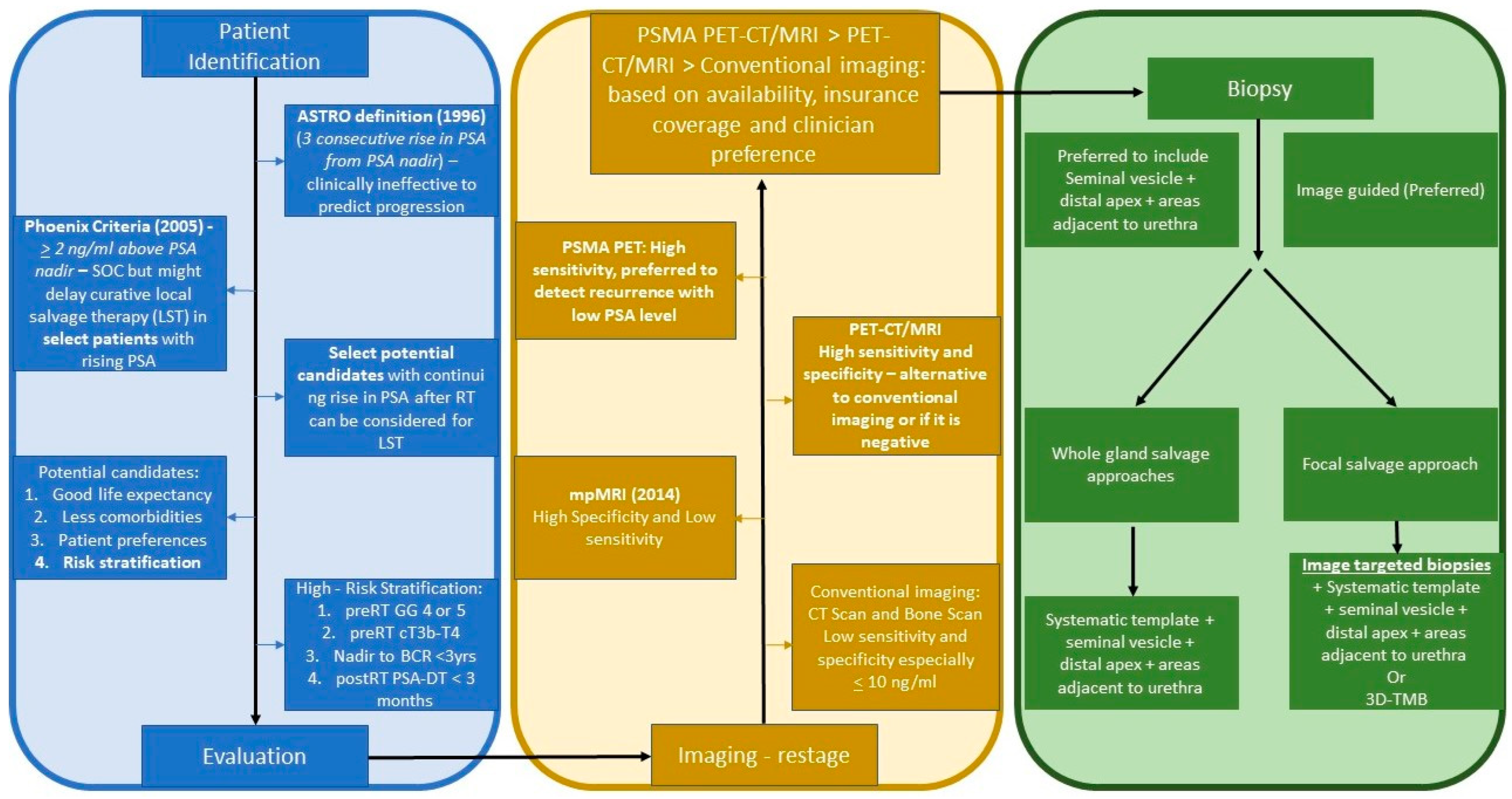 Cancers 15 05883 g001