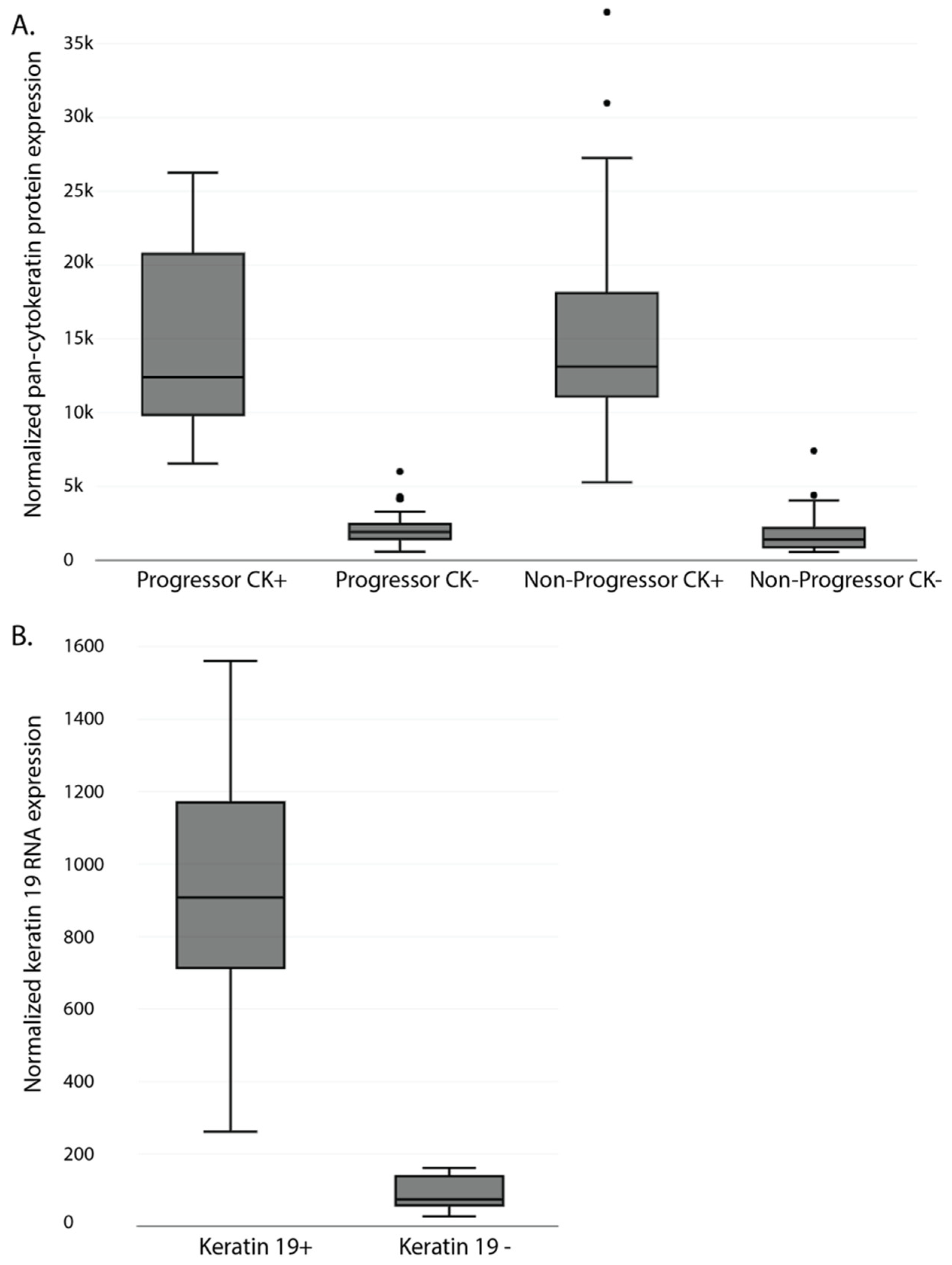 Cancers 15 05895 g003