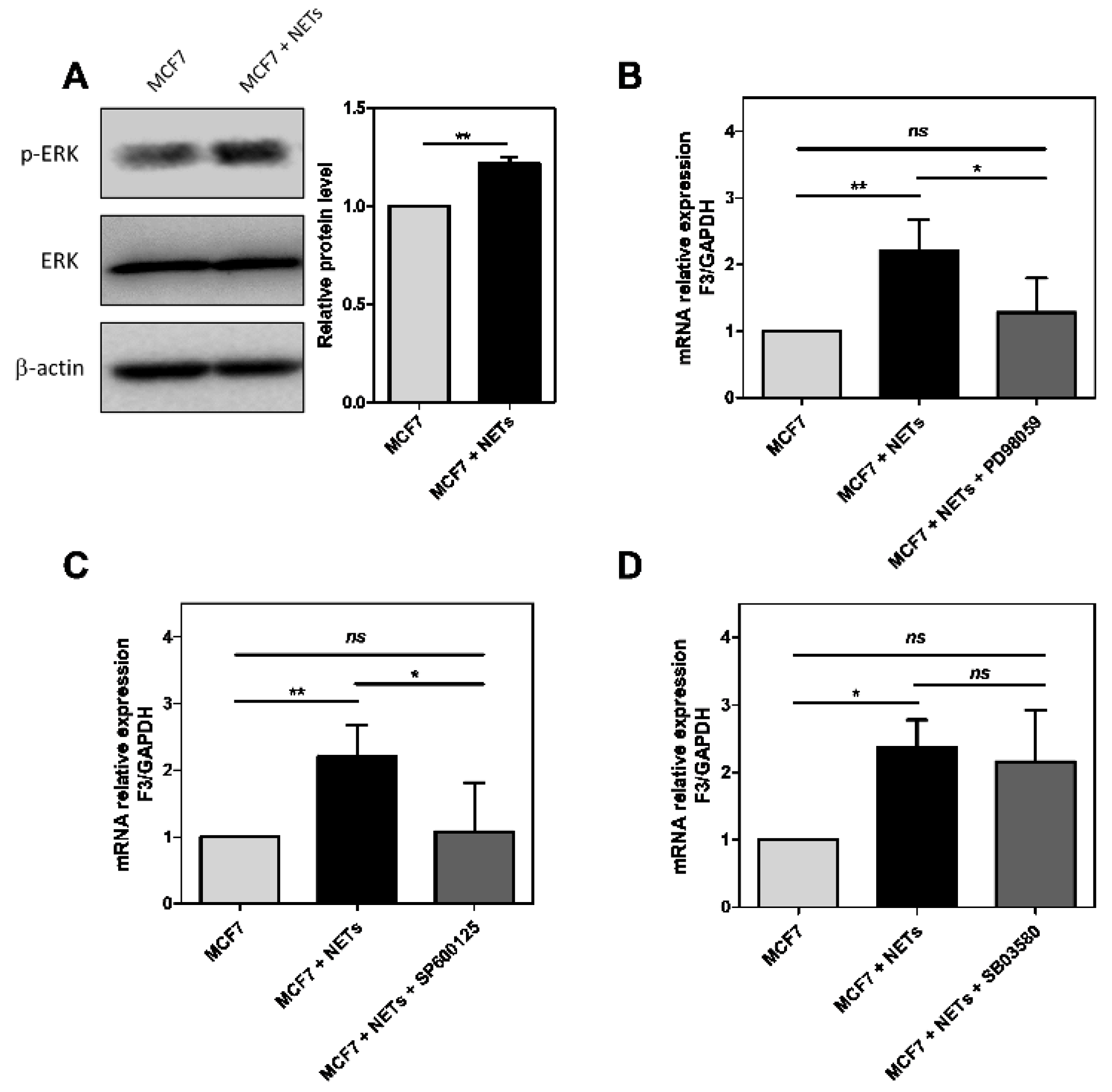 Cancers 16 00005 g003