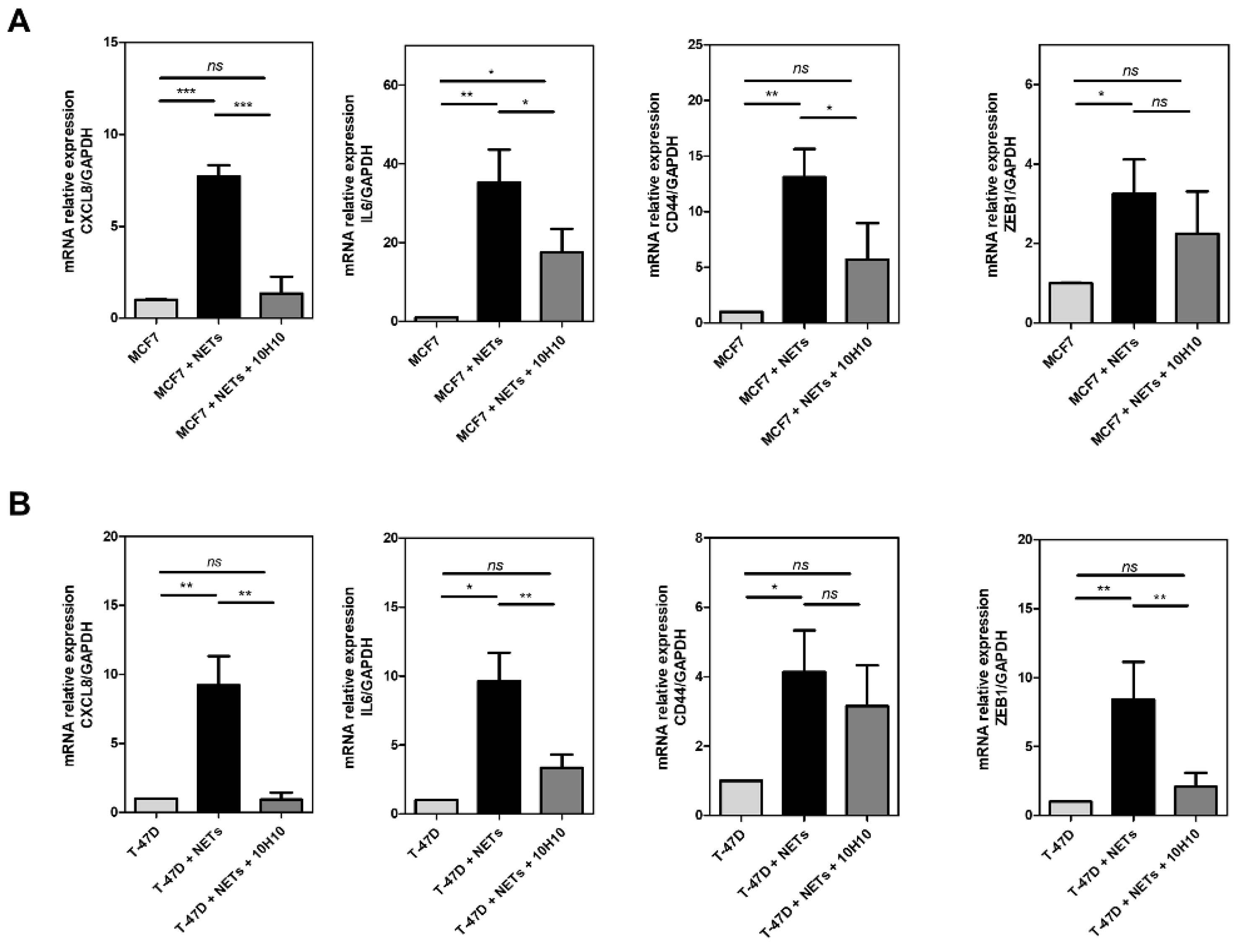 Cancers 16 00005 g004