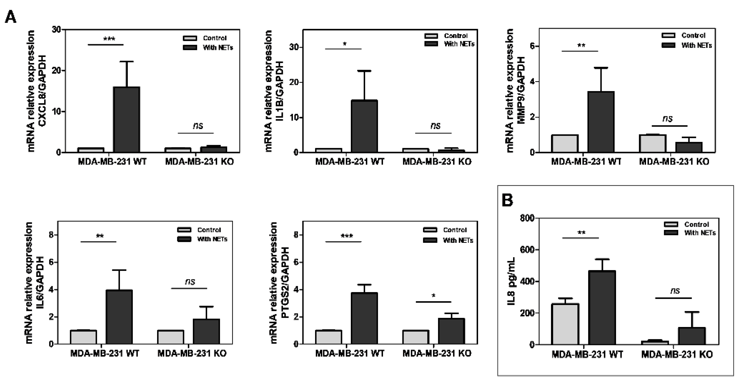 Cancers 16 00005 g005
