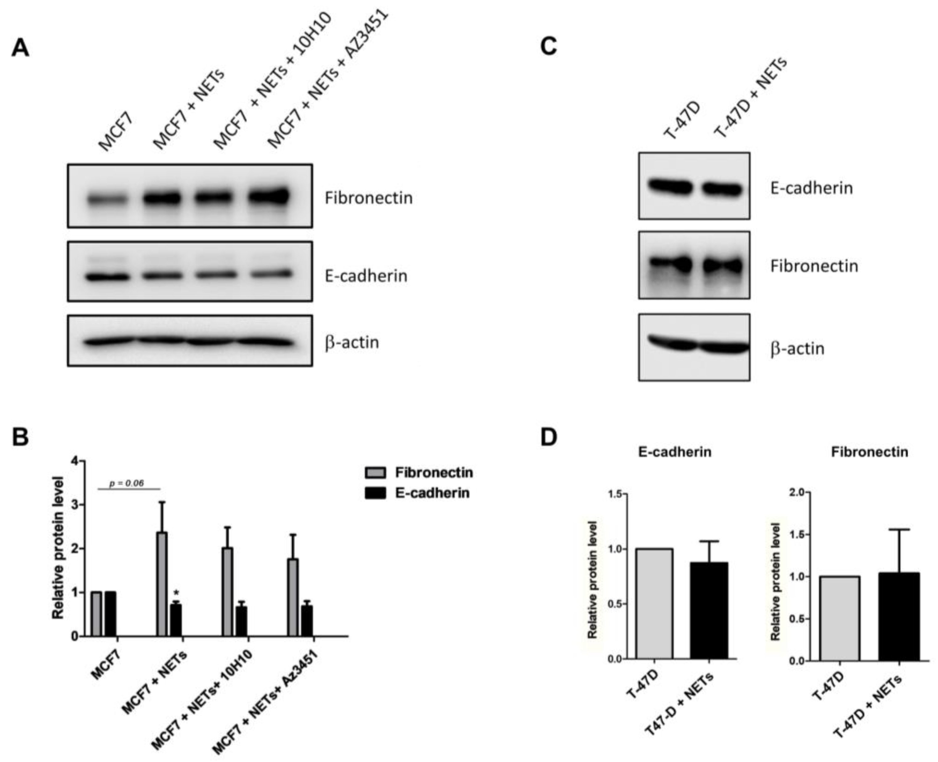 Cancers 16 00005 g007