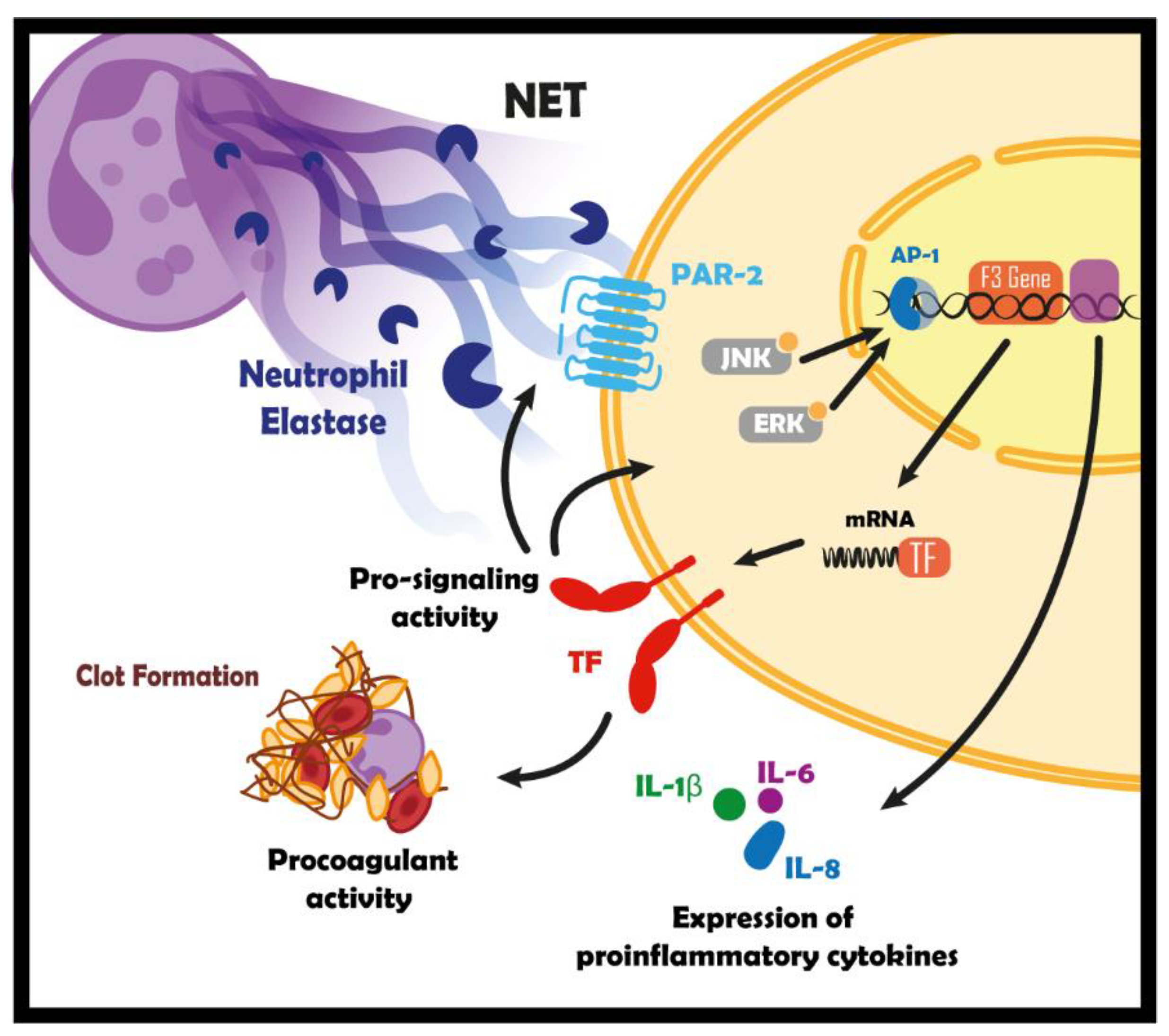 Cancers 16 00005 g009