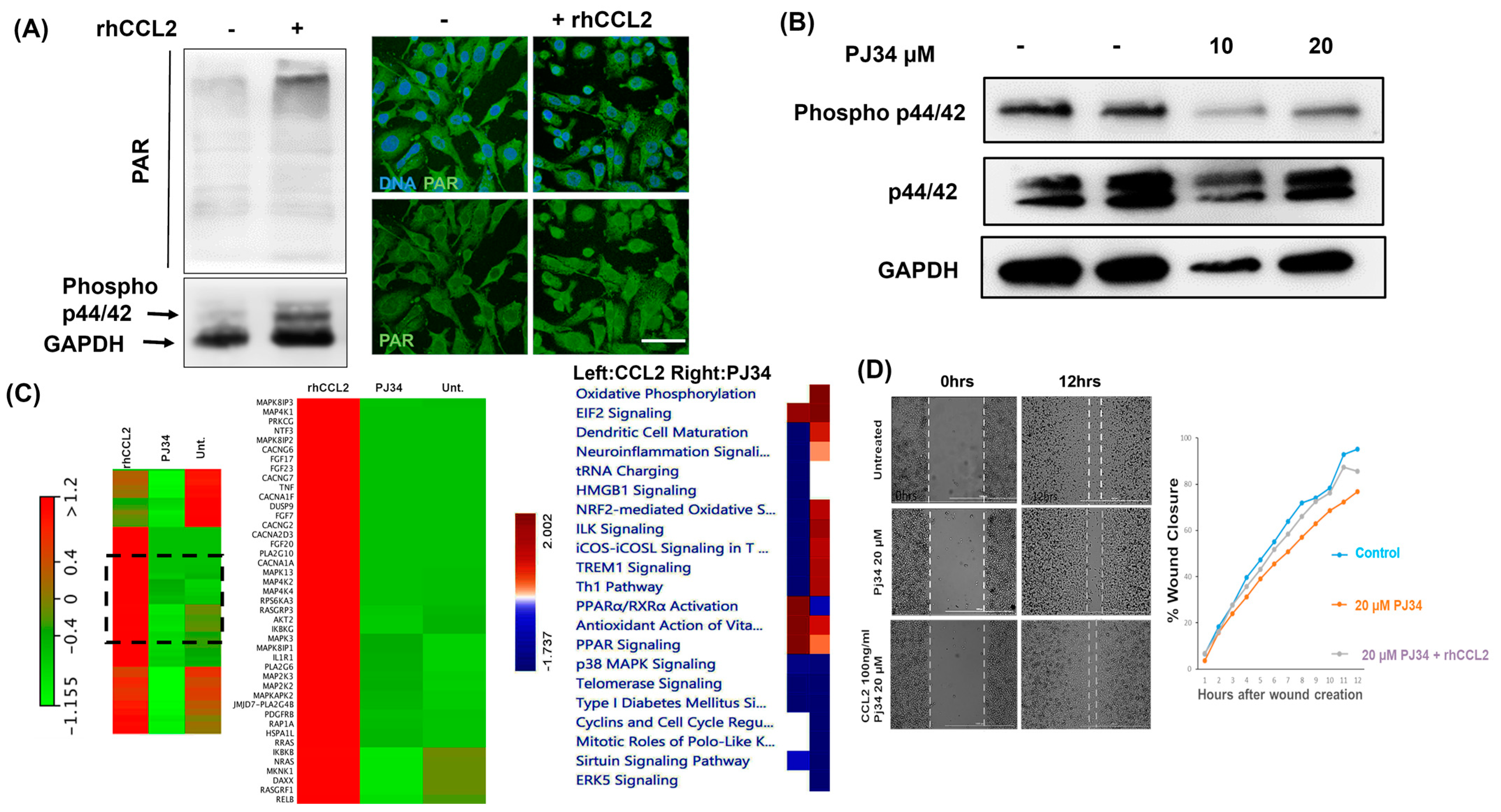 Cancers 16 00007 g005
