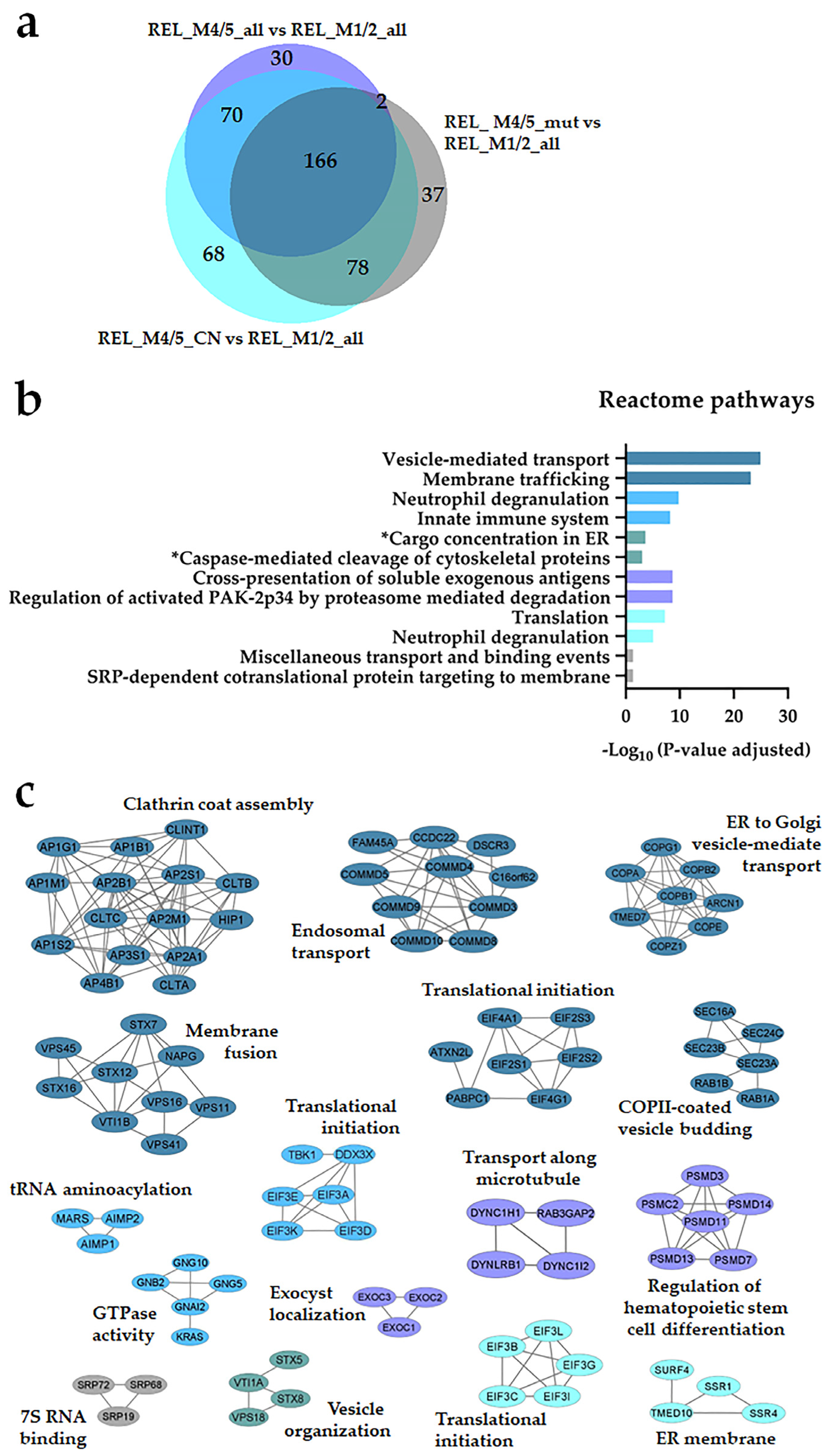 Cancers 16 00008 g002