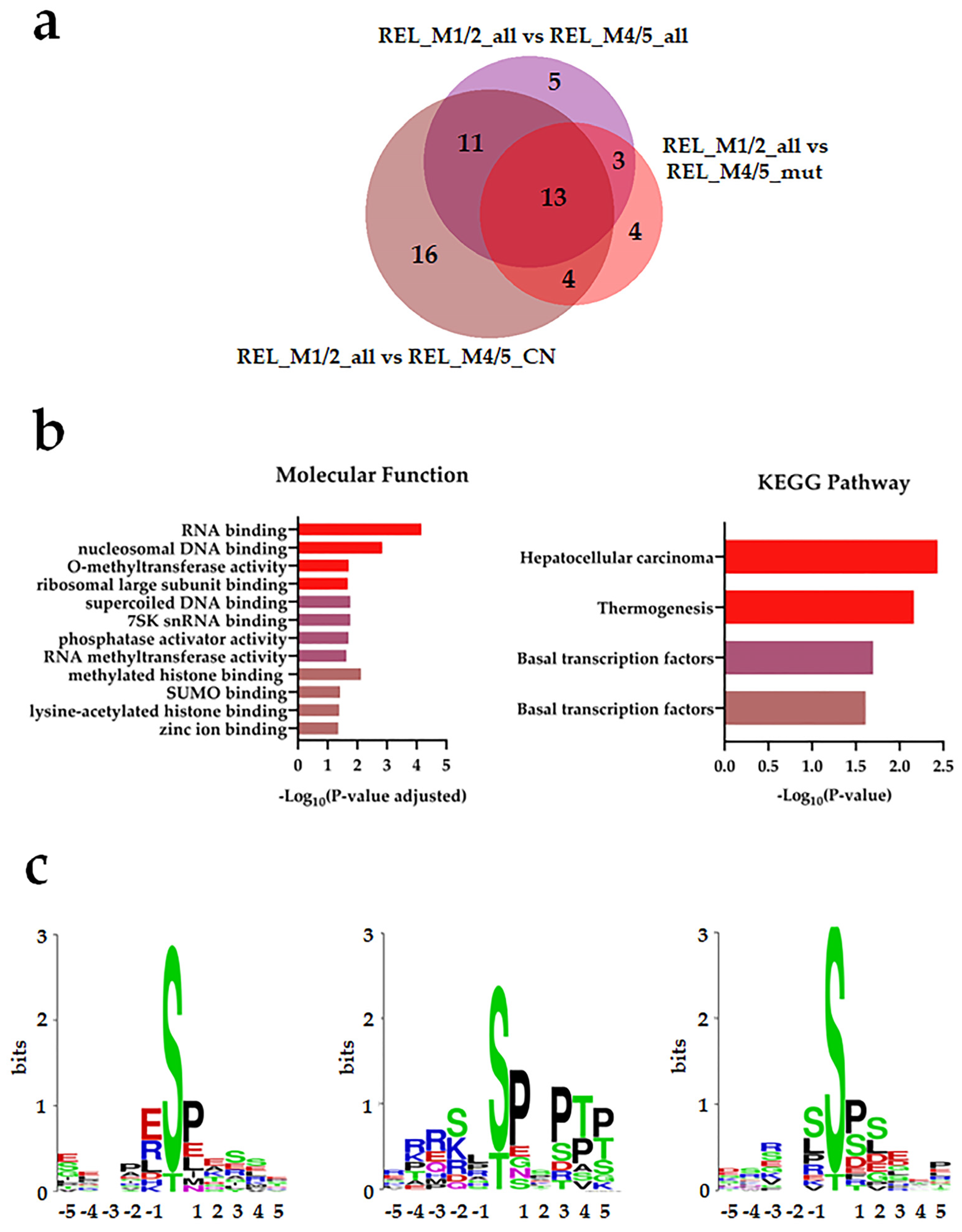 Cancers 16 00008 g003