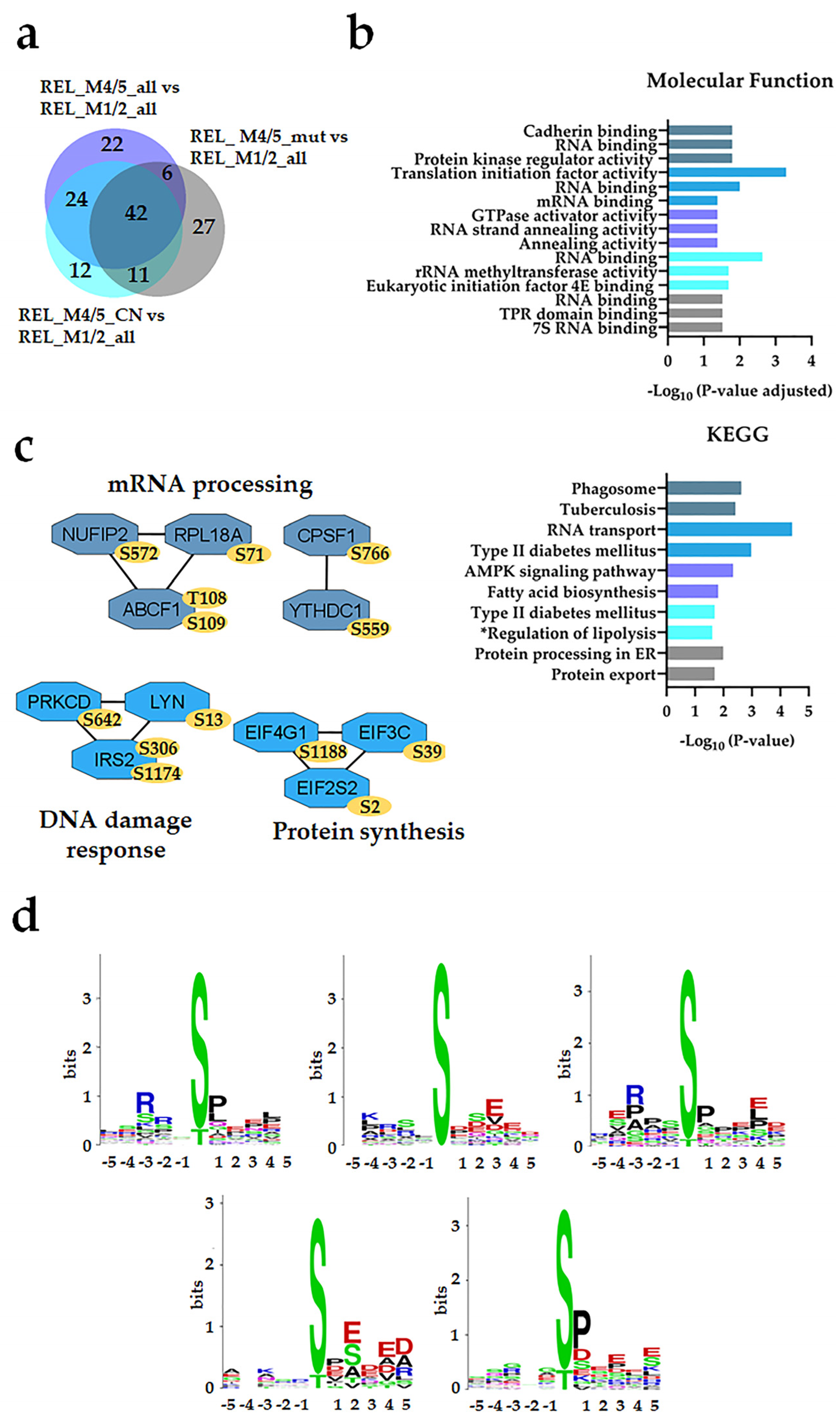 Cancers 16 00008 g004