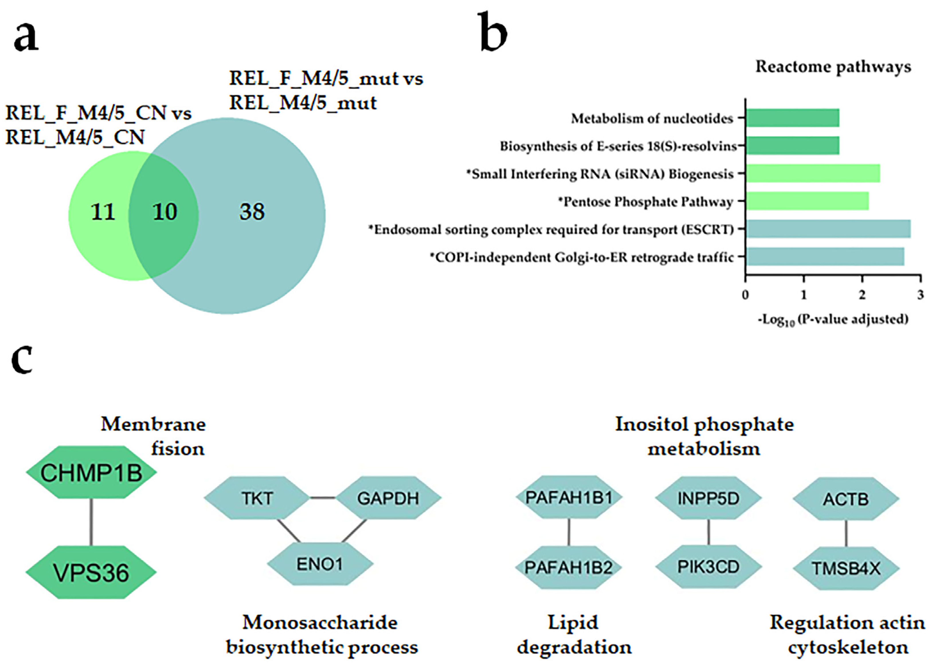 Cancers 16 00008 g006