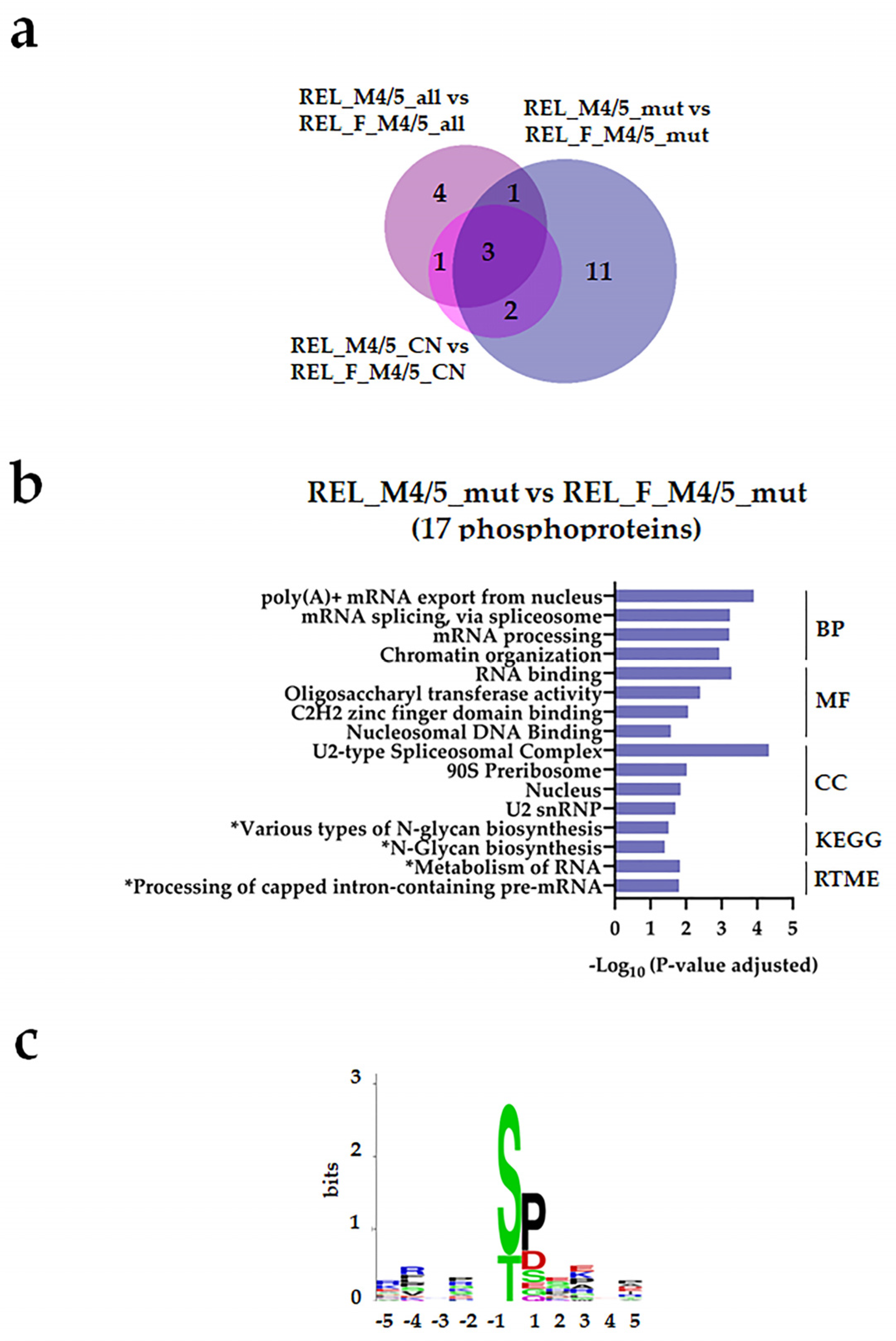 Cancers 16 00008 g007