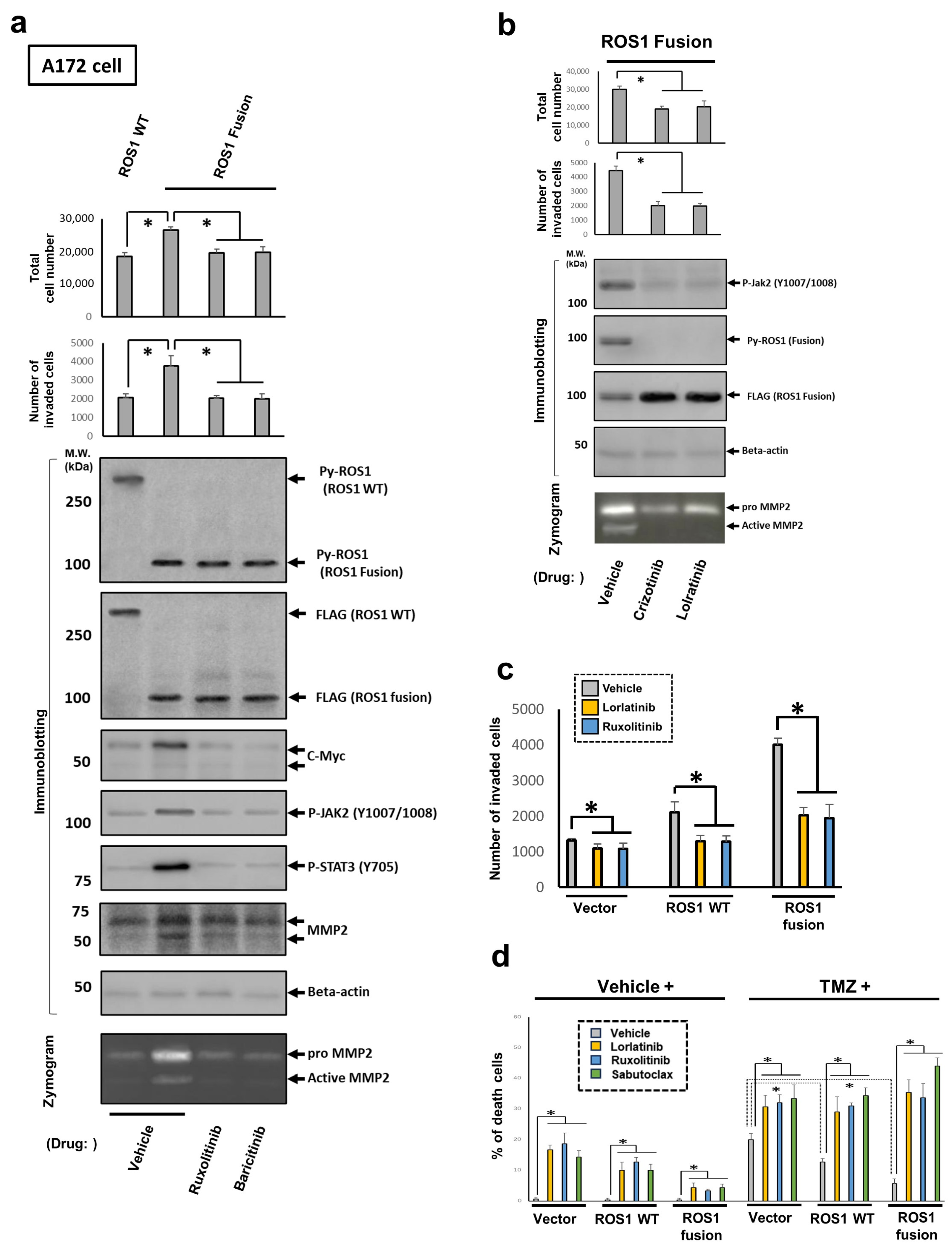 Cancers 16 00009 g006