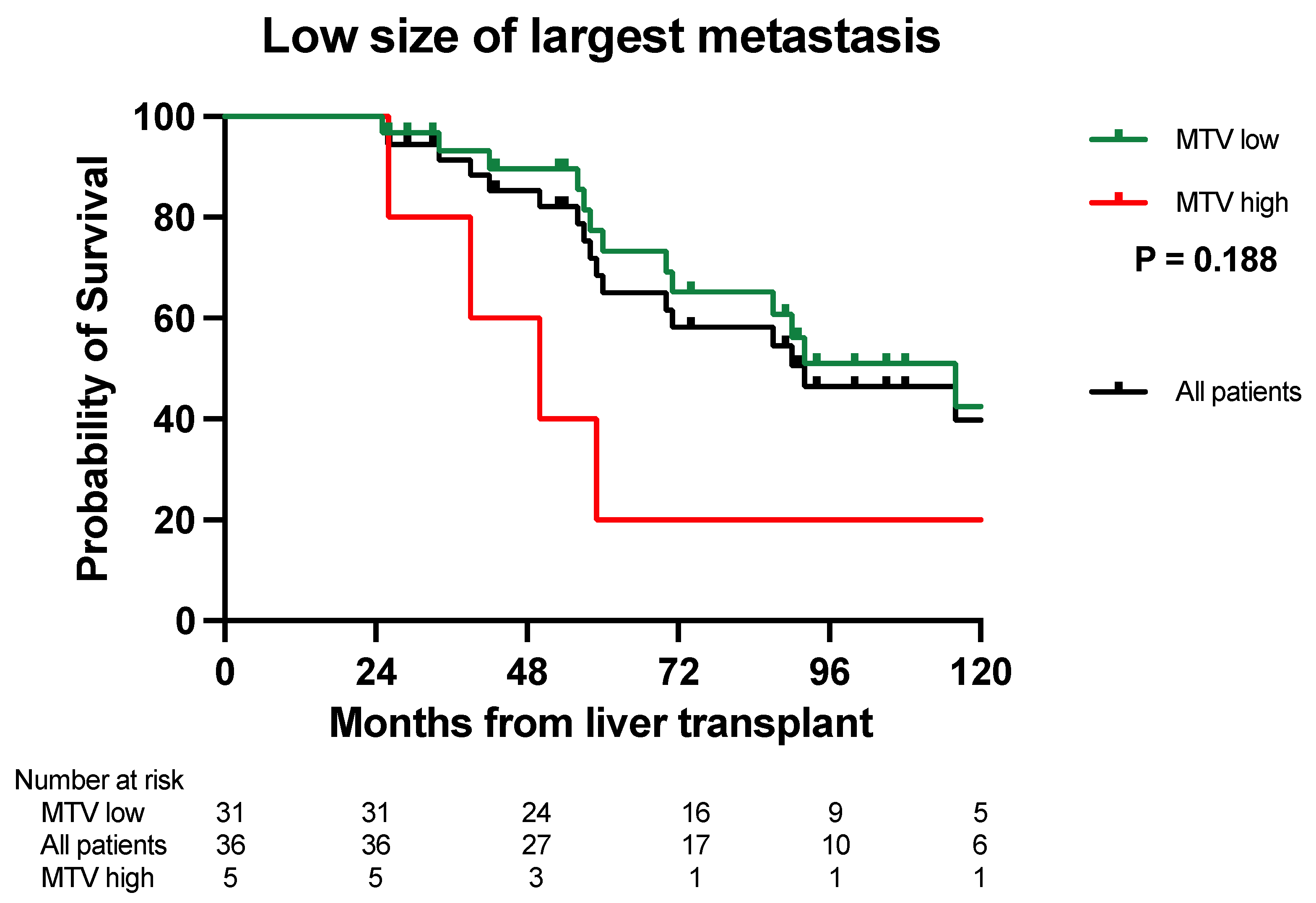 Cancers 16 00019 g002
