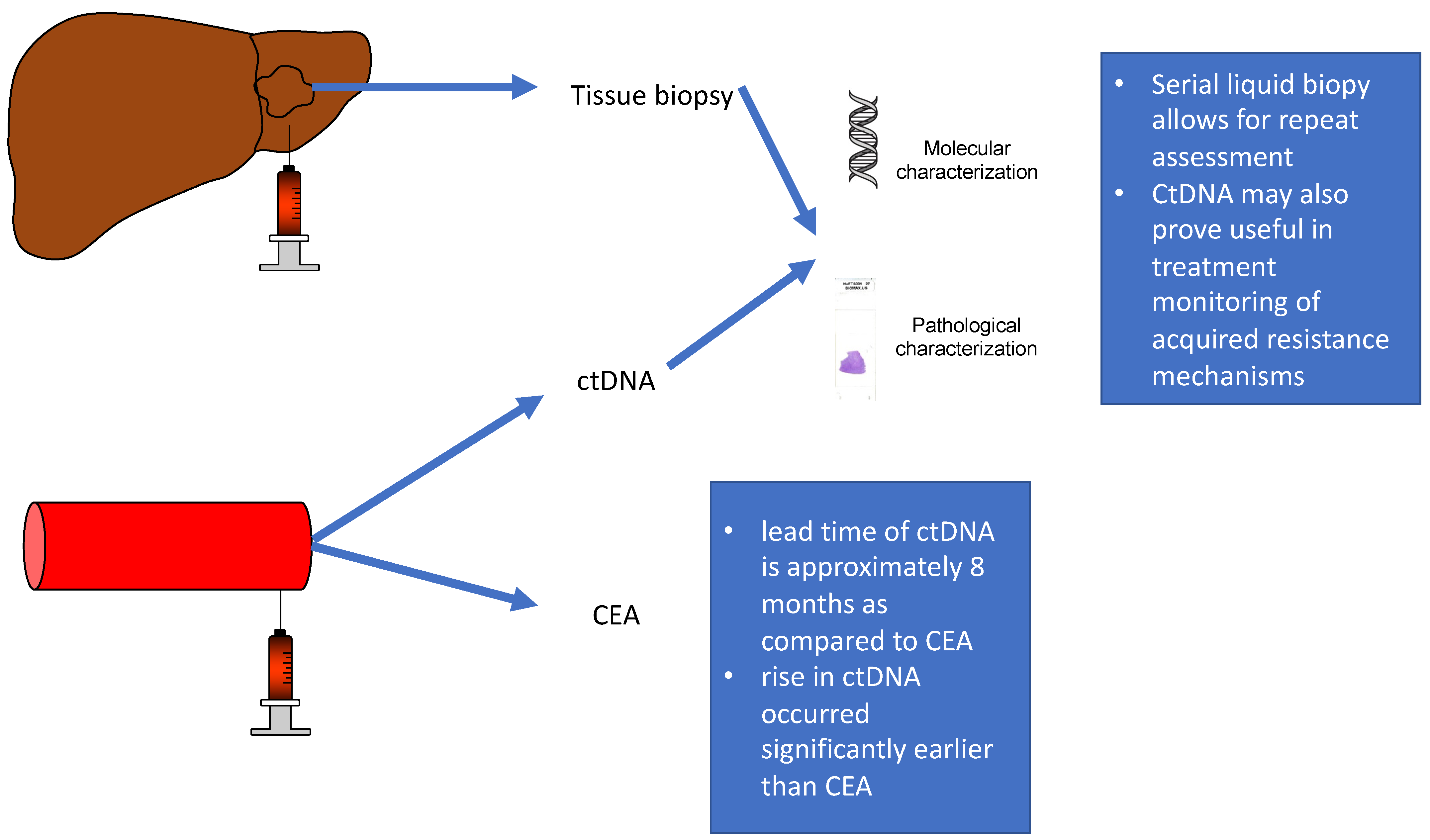 Cancers 16 00021 g002
