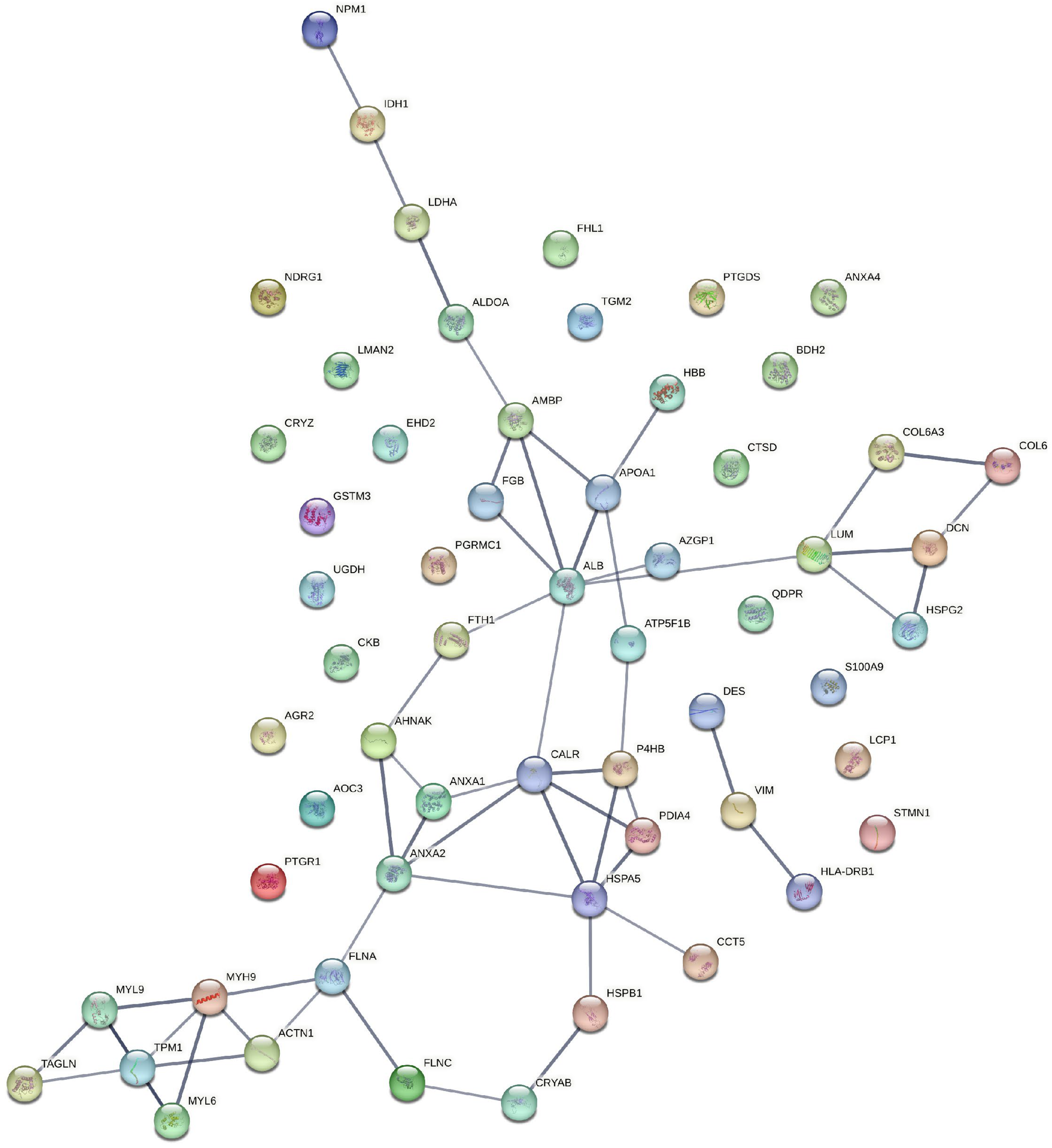 Cancers 16 00022 g002 Cancers 16 00022 g002