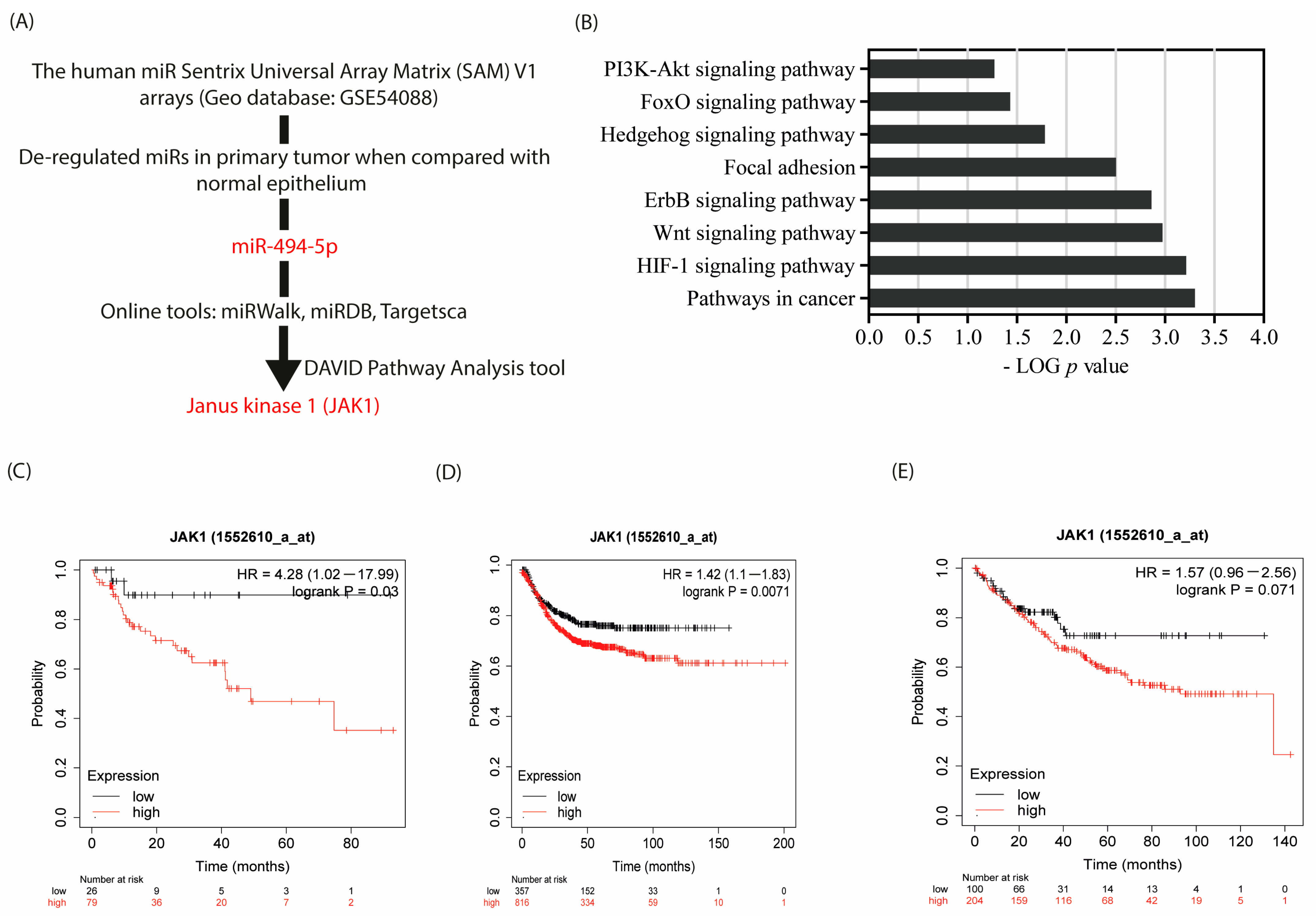 Cancers 16 00024 g001