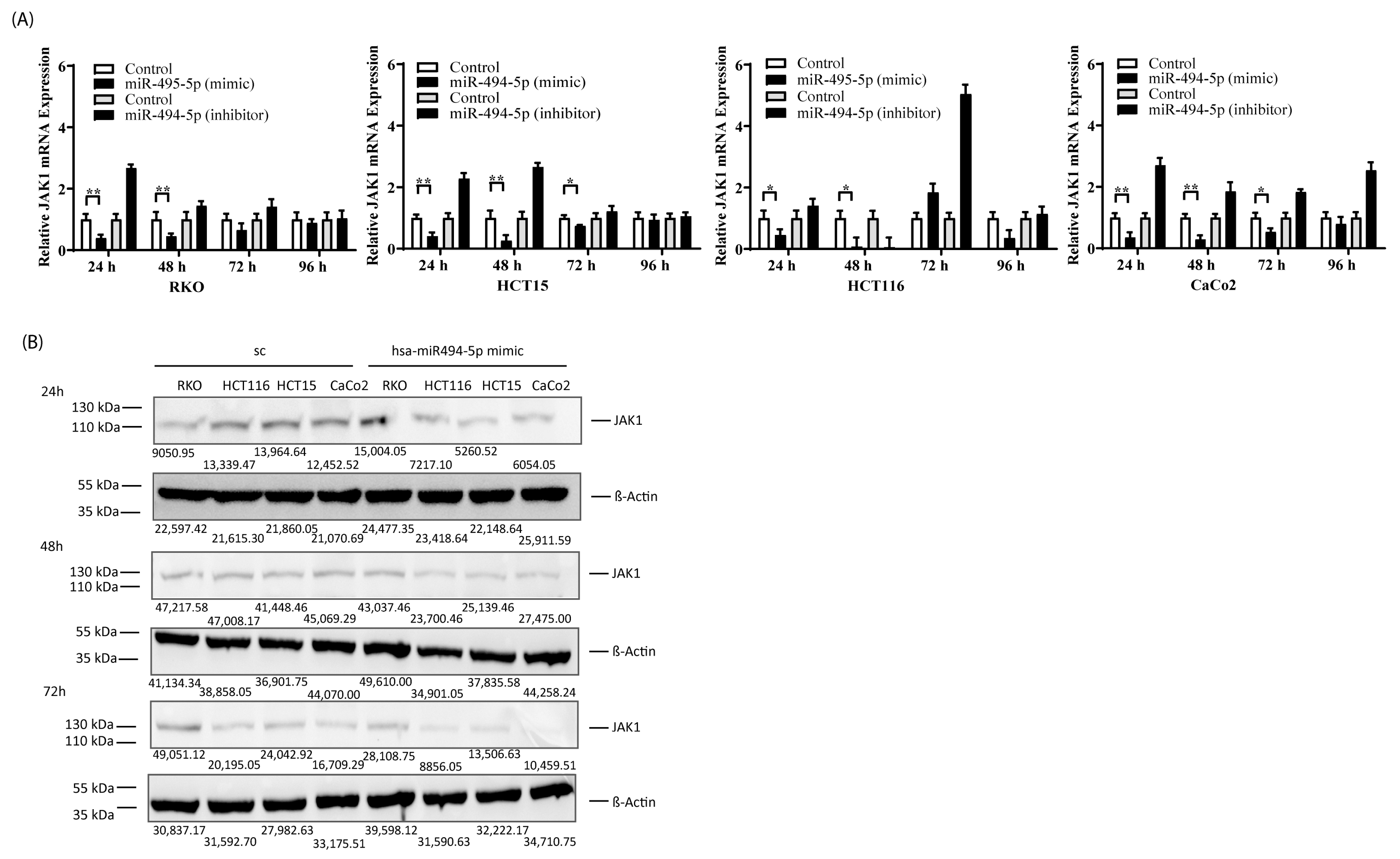 Cancers 16 00024 g003