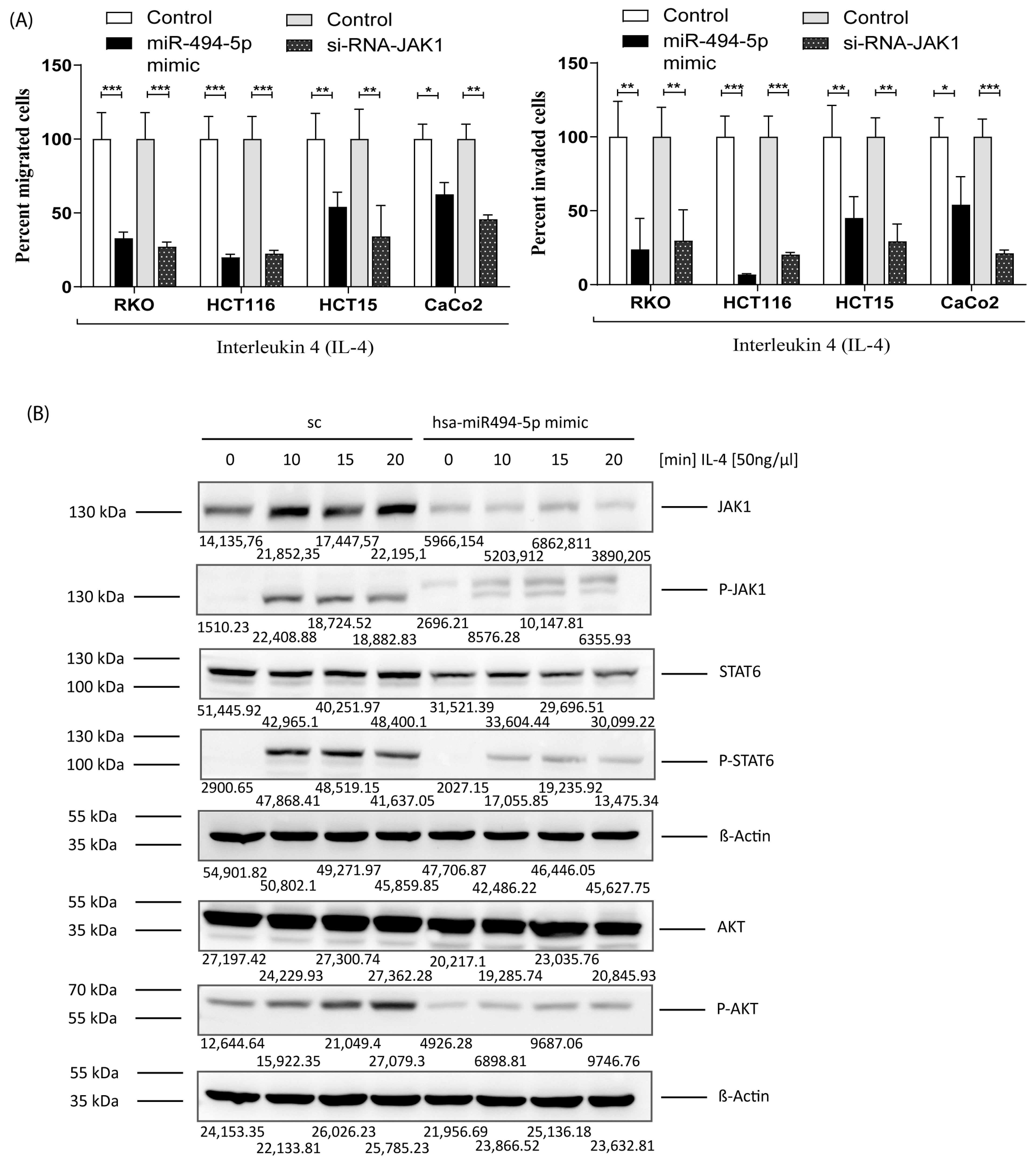 Cancers 16 00024 g007