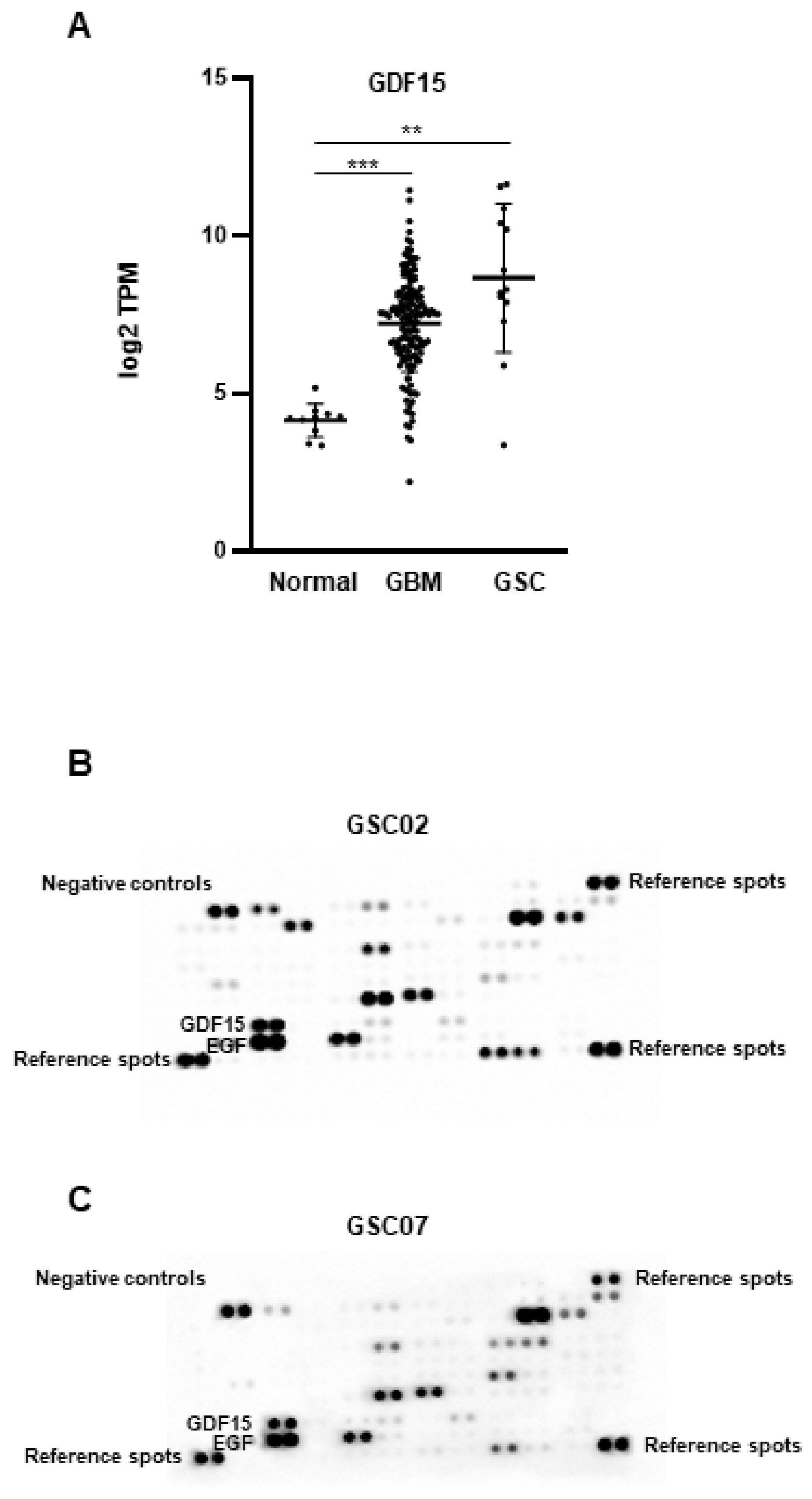 Cancers 16 00027 g001
