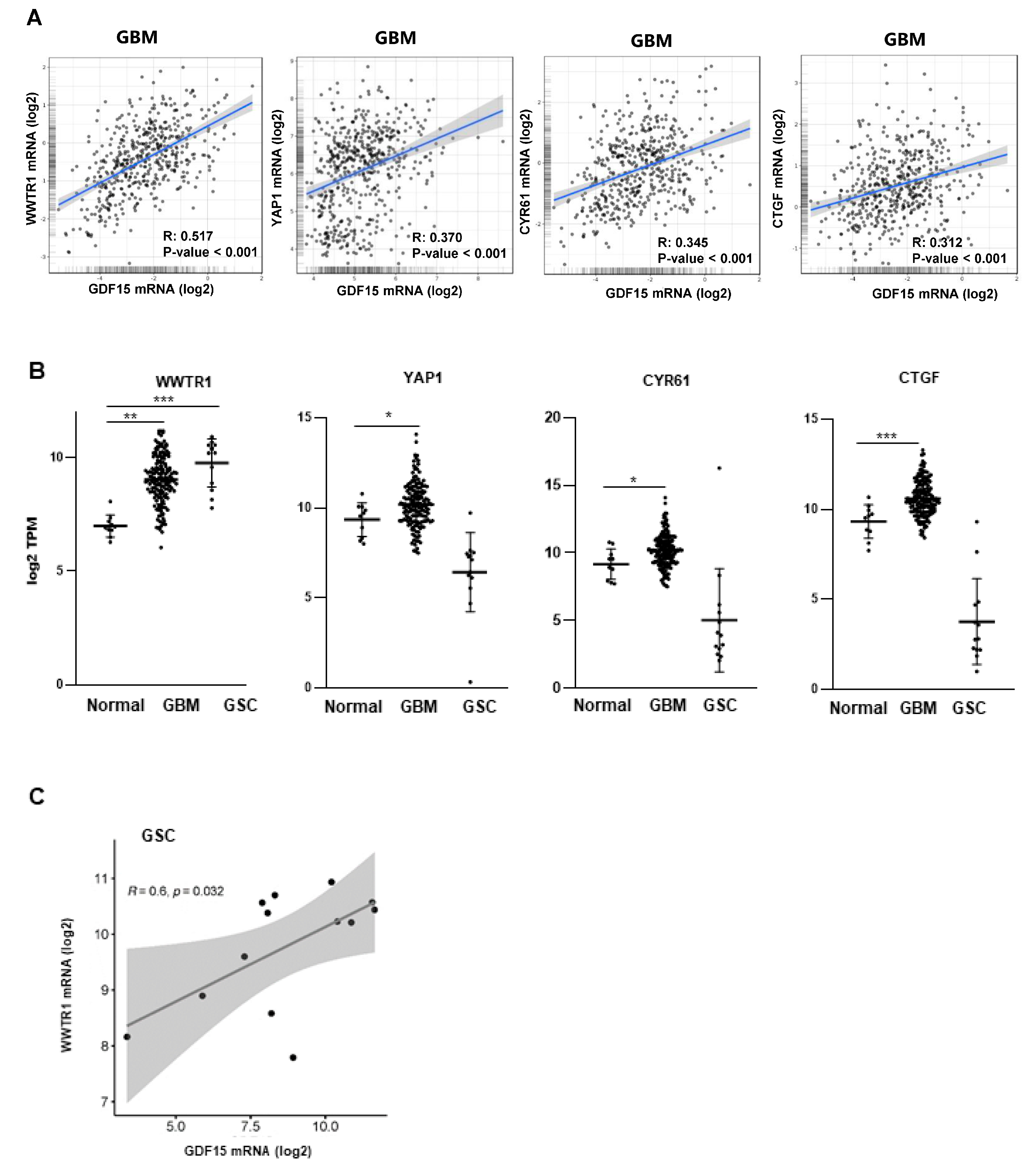 Cancers 16 00027 g002