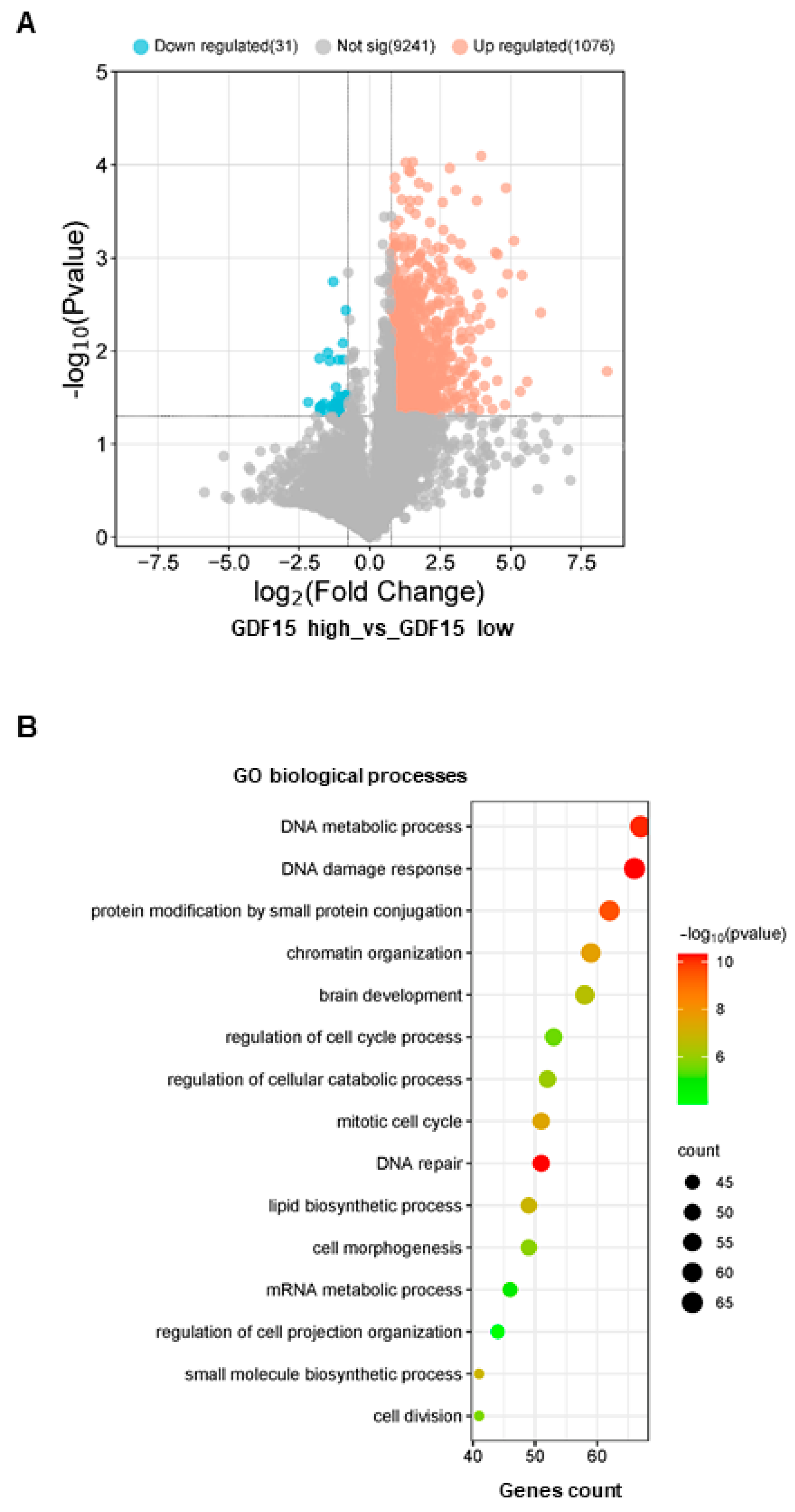 Cancers 16 00027 g004