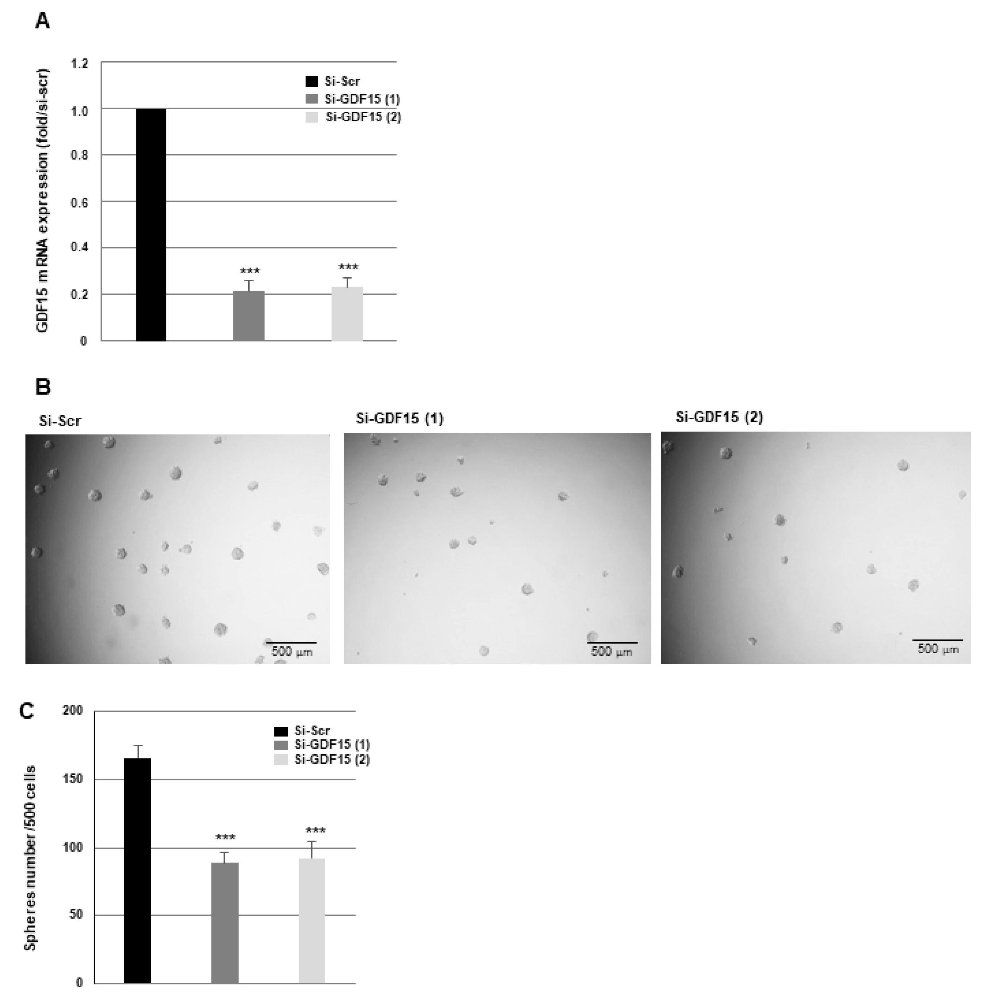 Cancers 16 00027 g005