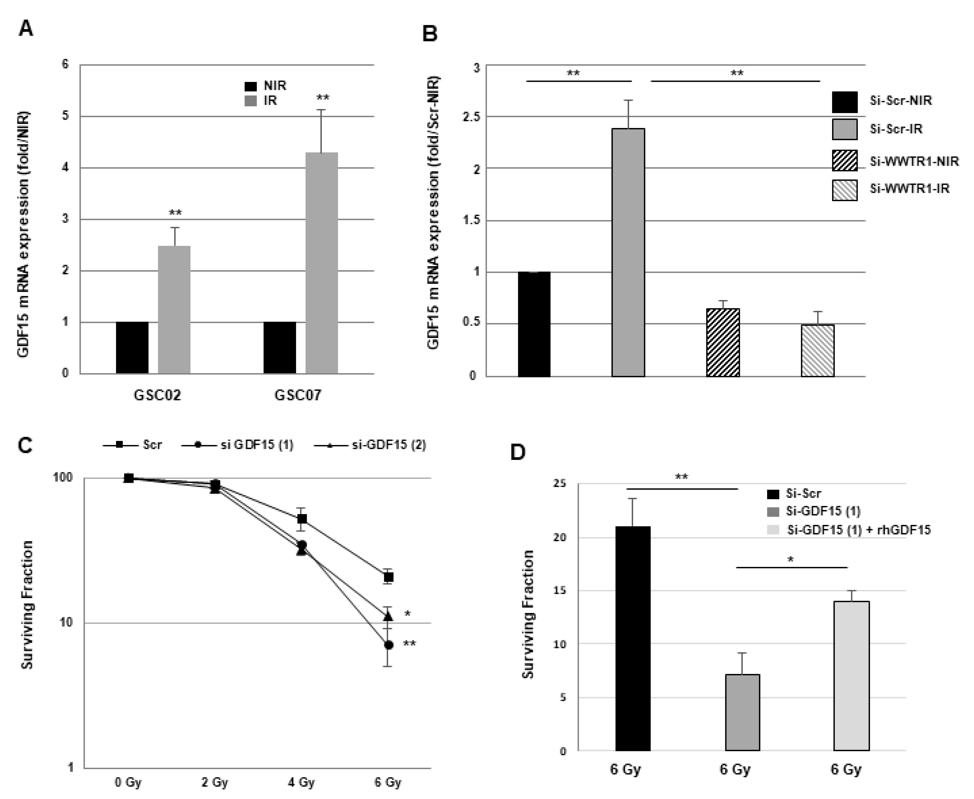 Cancers 16 00027 g006