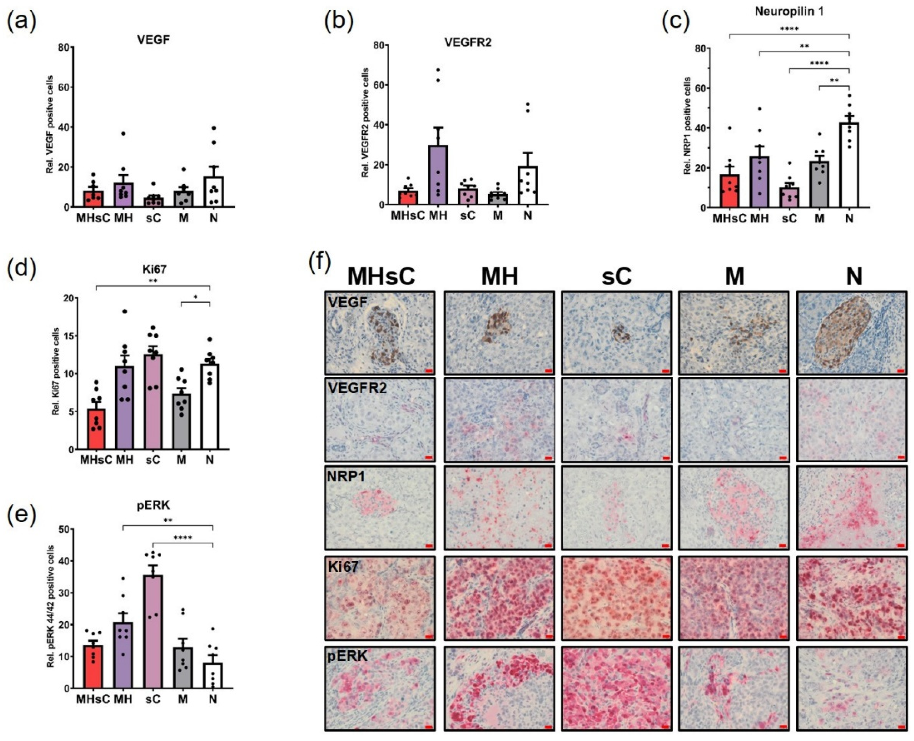 Cancers 16 00033 g004