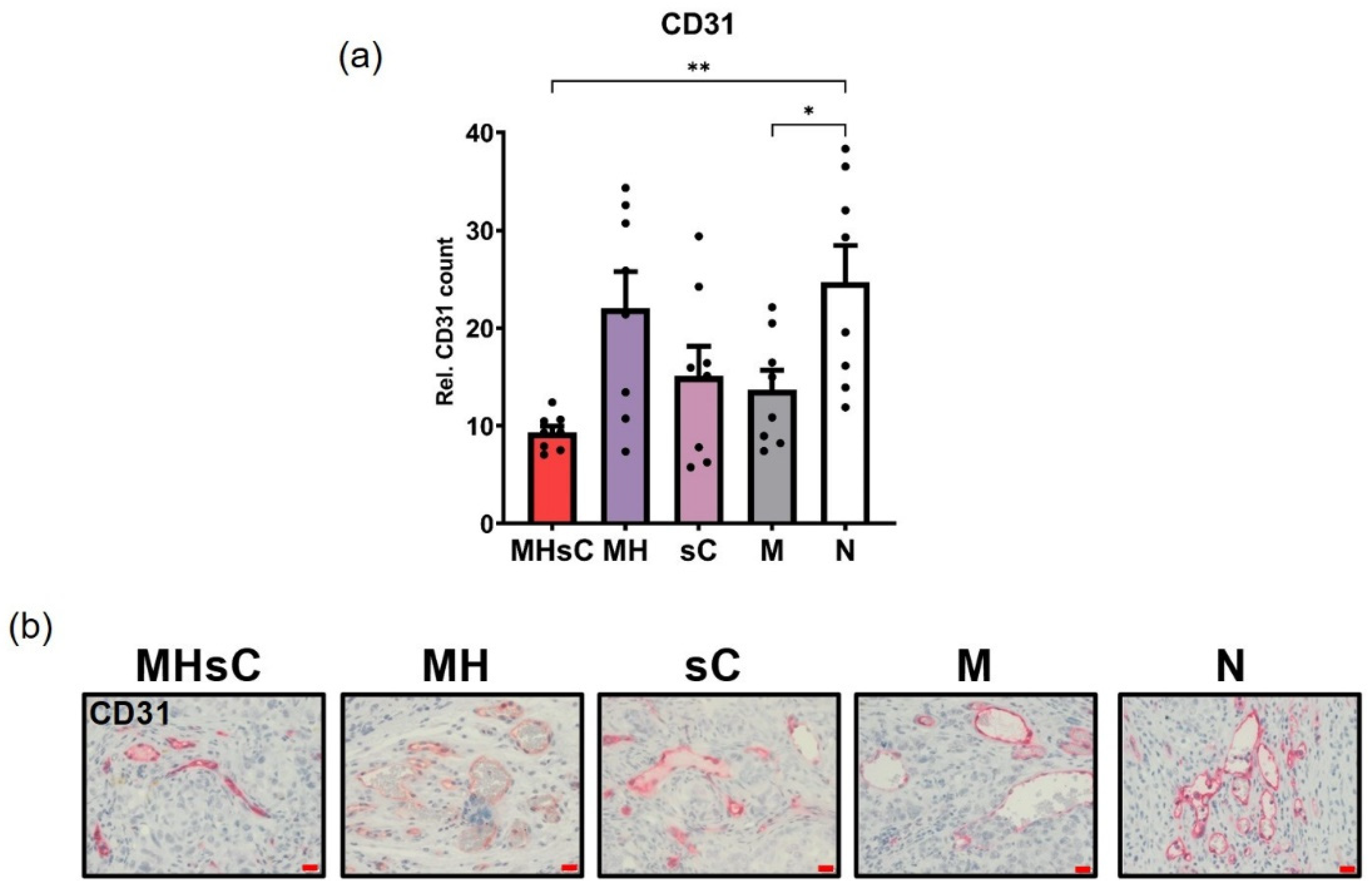Cancers 16 00033 g005