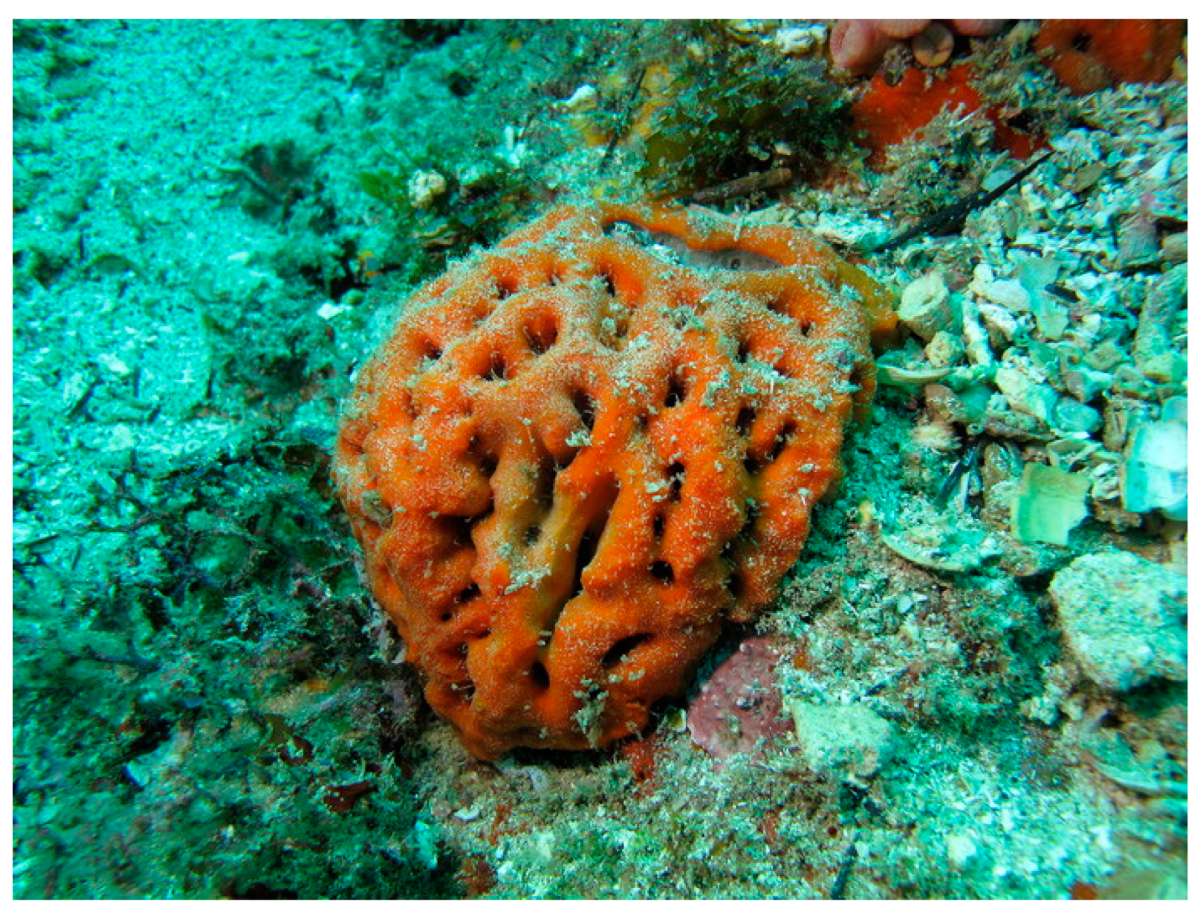 Cancers 16 00036 g003