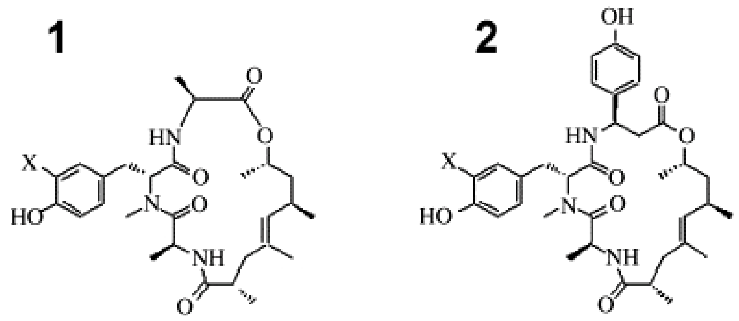 Cancers 16 00036 g004