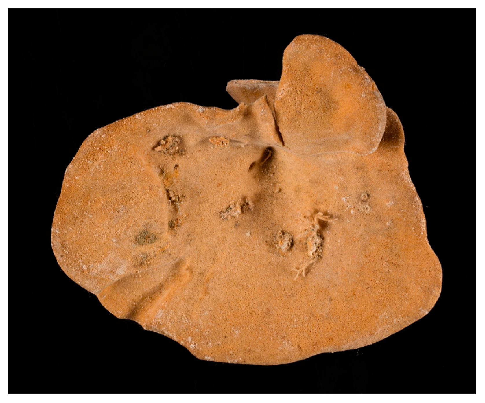 Cancers 16 00036 g005