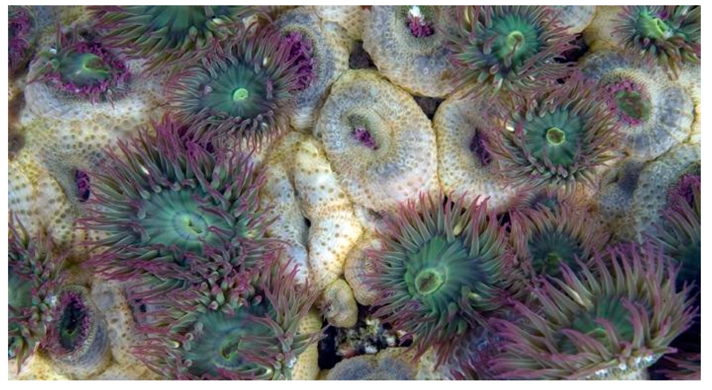 Cancers 16 00036 g007