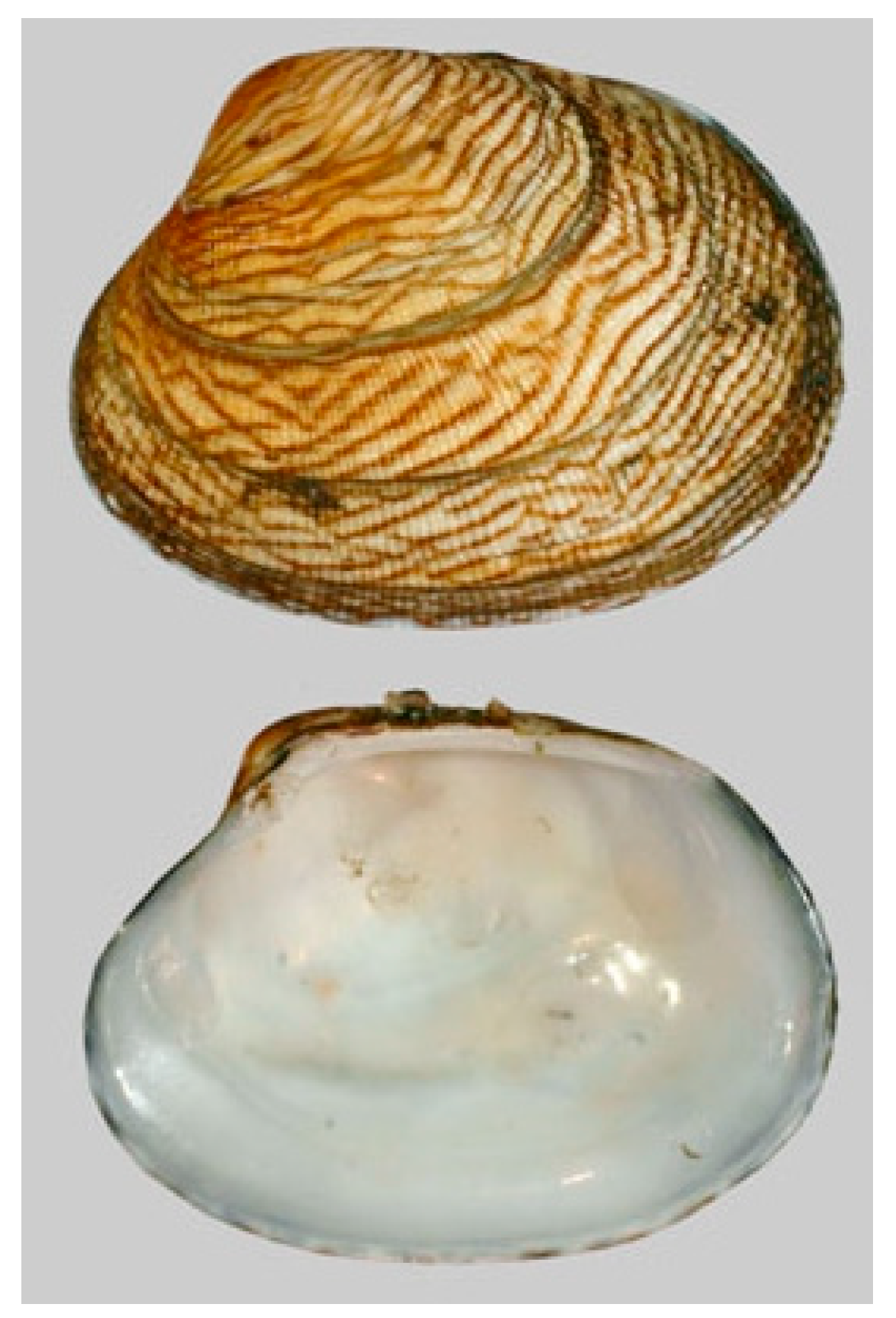 Cancers 16 00036 g010