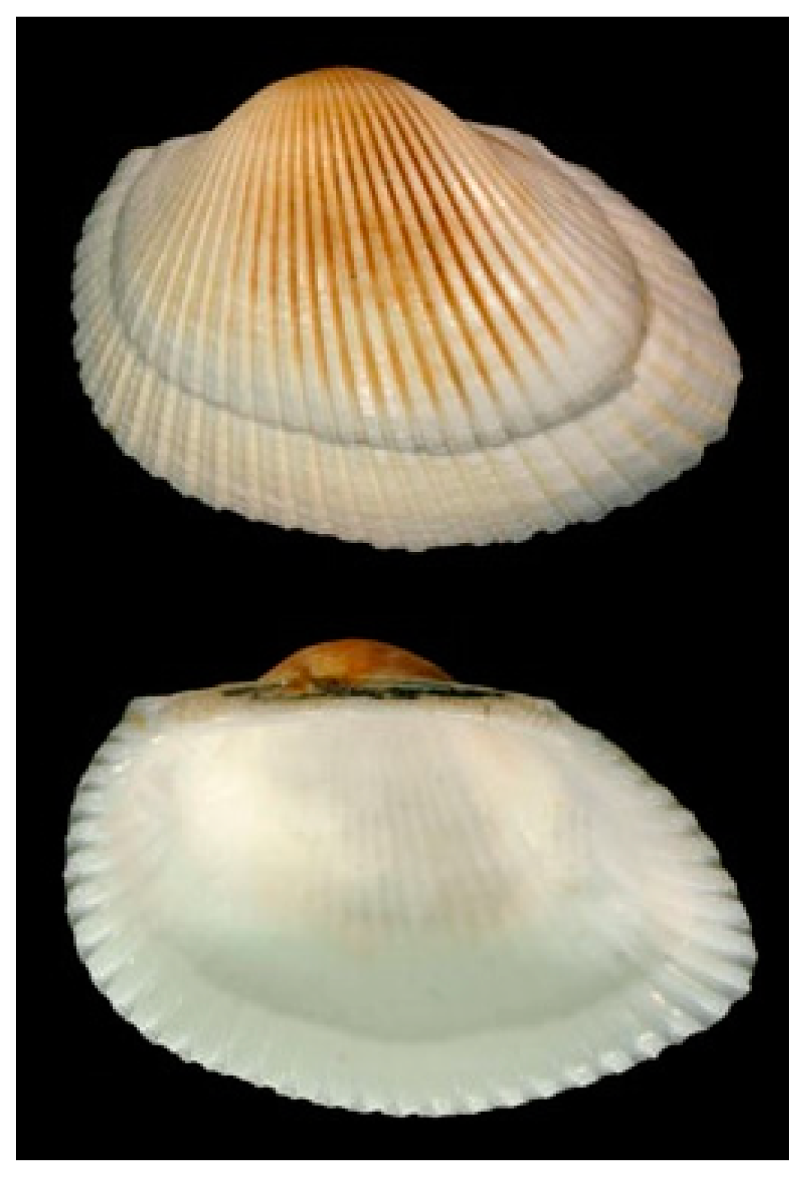 Cancers 16 00036 g011