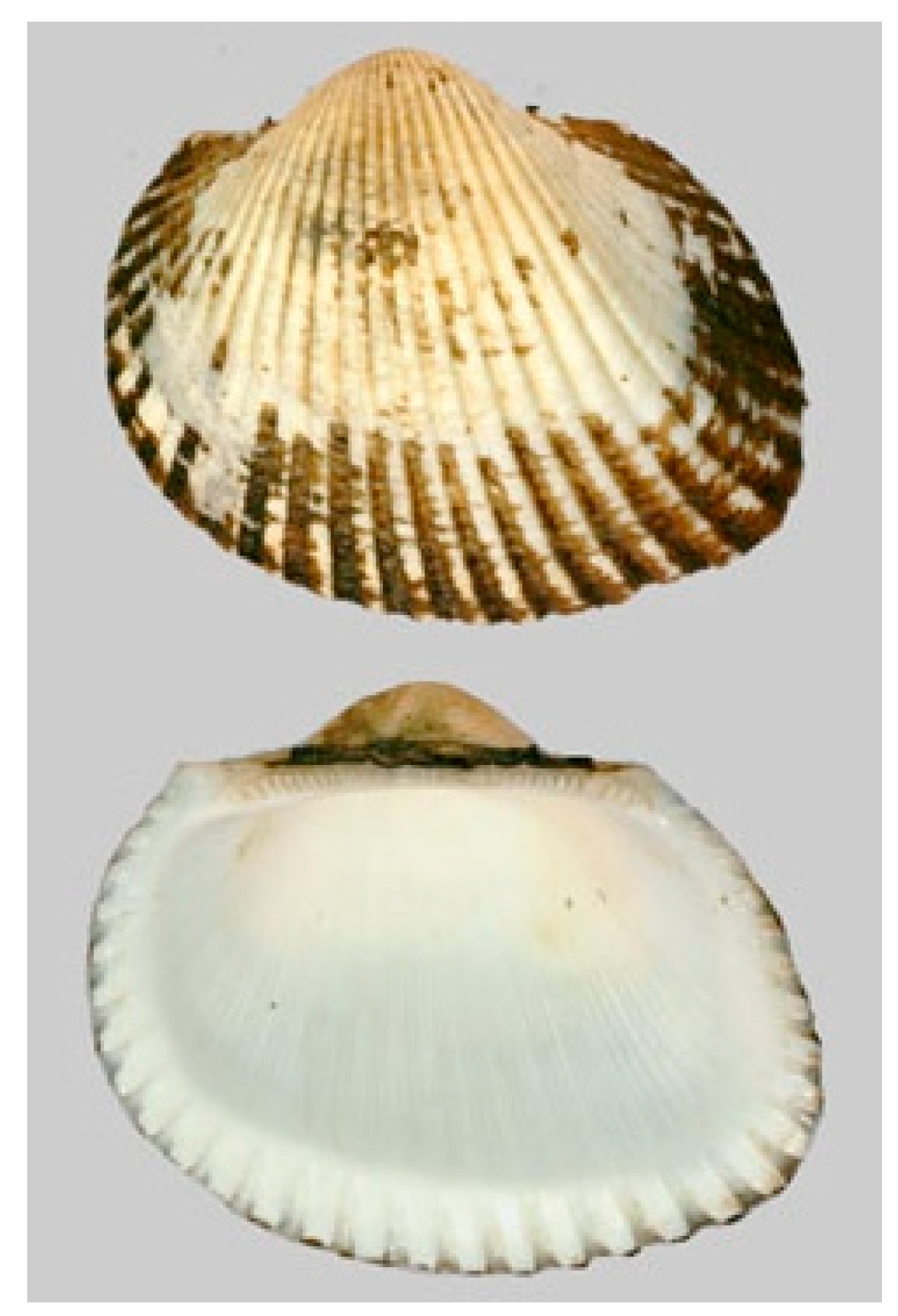 Cancers 16 00036 g012