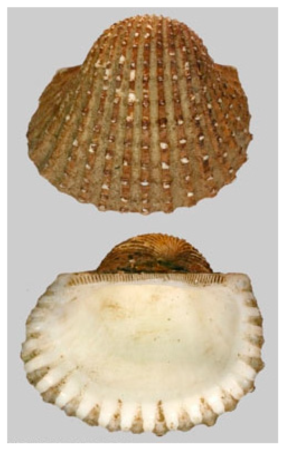 Cancers 16 00036 g014