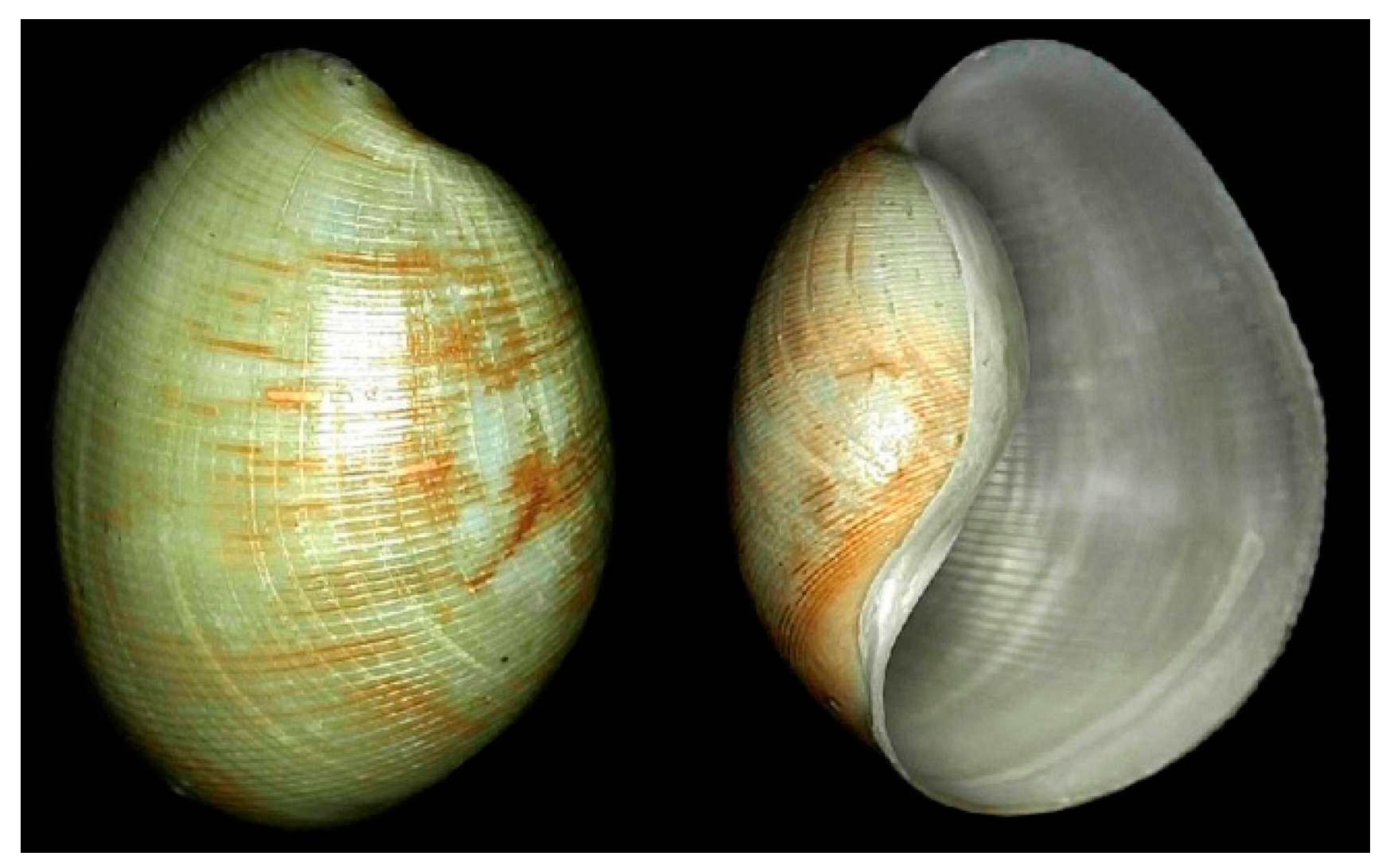 Cancers 16 00036 g016