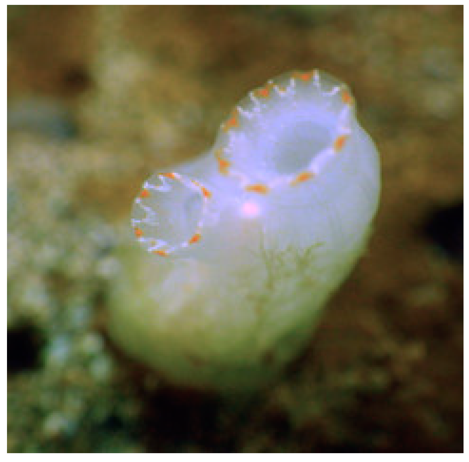 Cancers 16 00036 g023