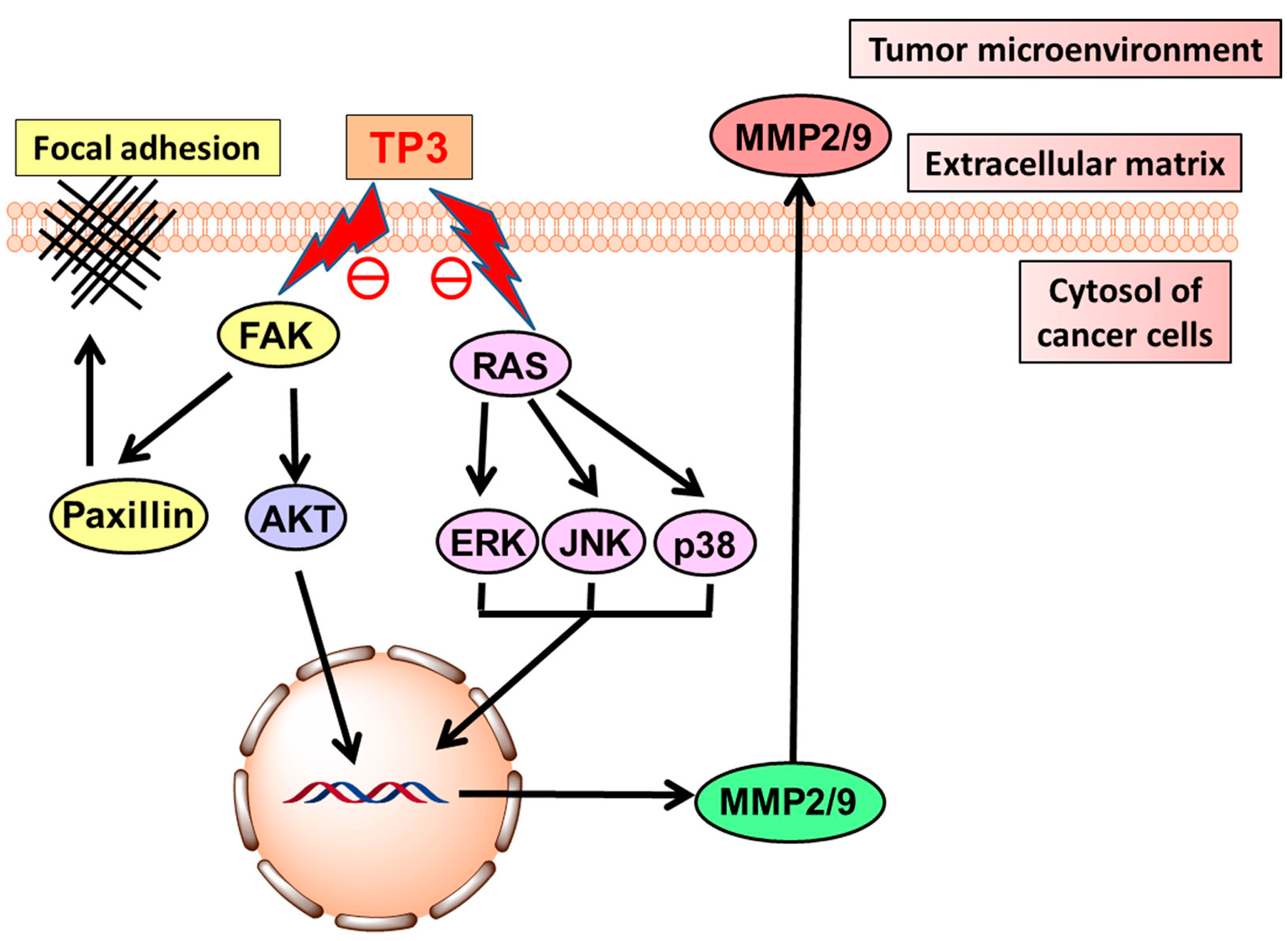 Cancers 16 00036 g027