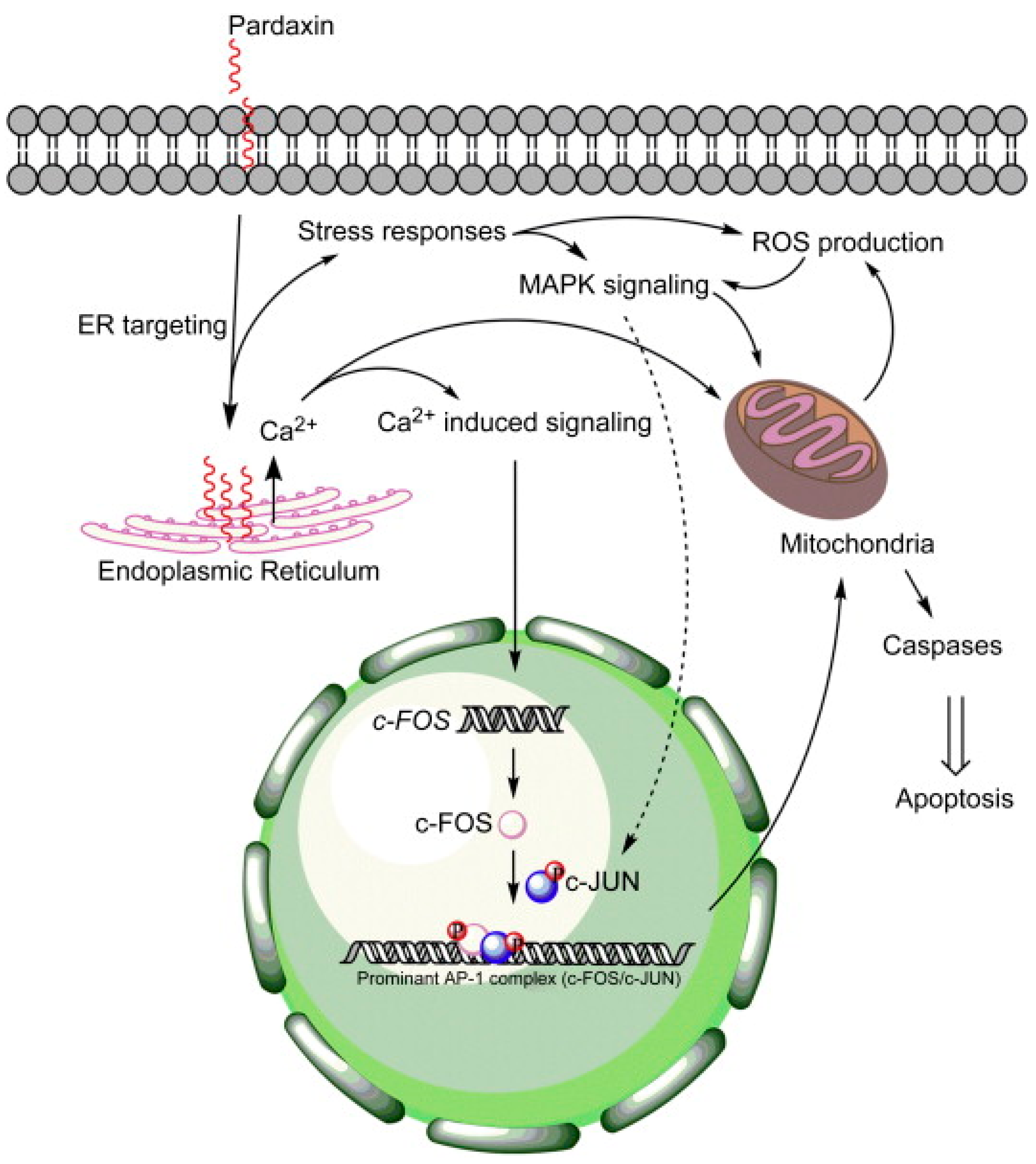 Cancers 16 00036 g031