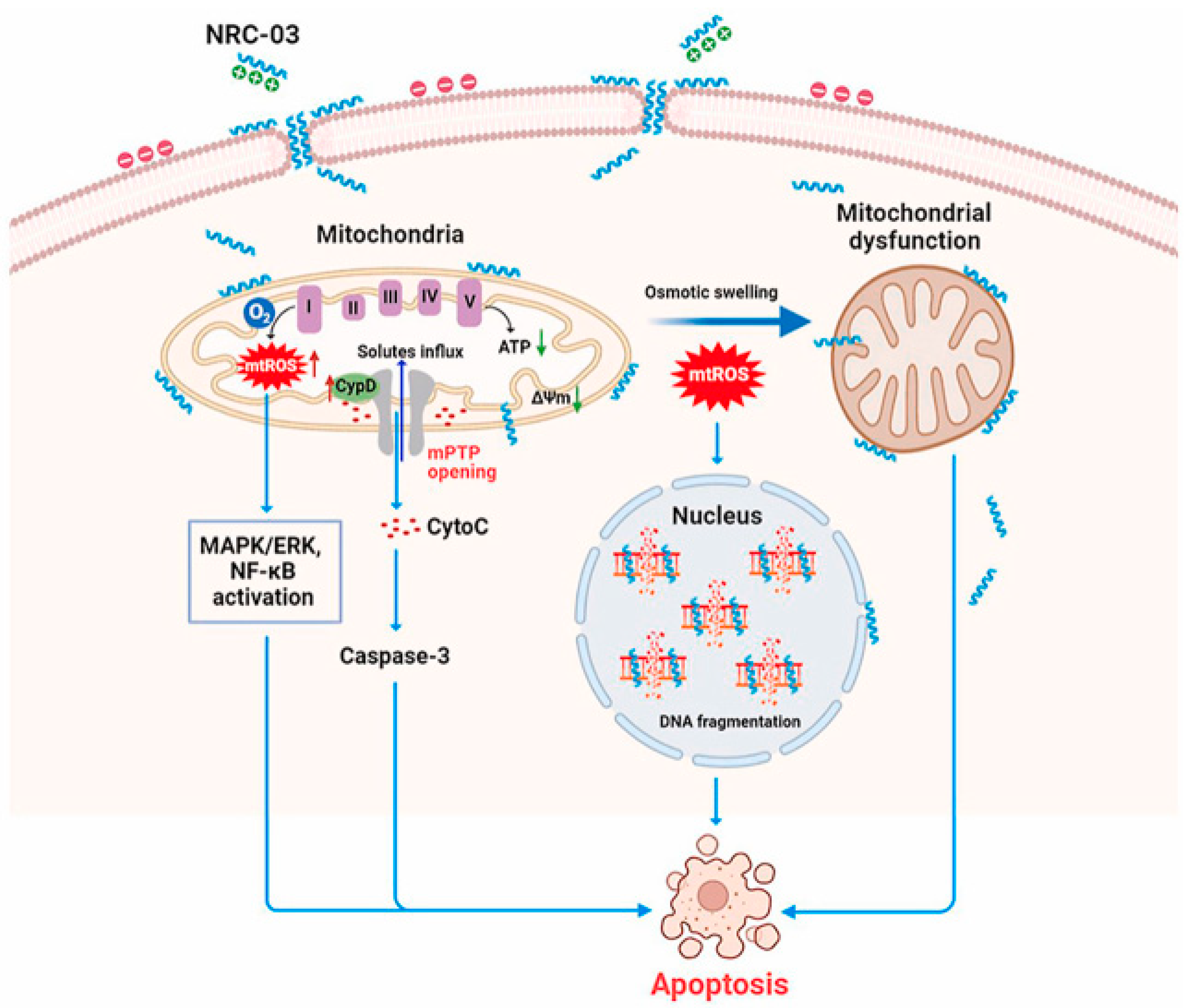 Cancers 16 00036 g034