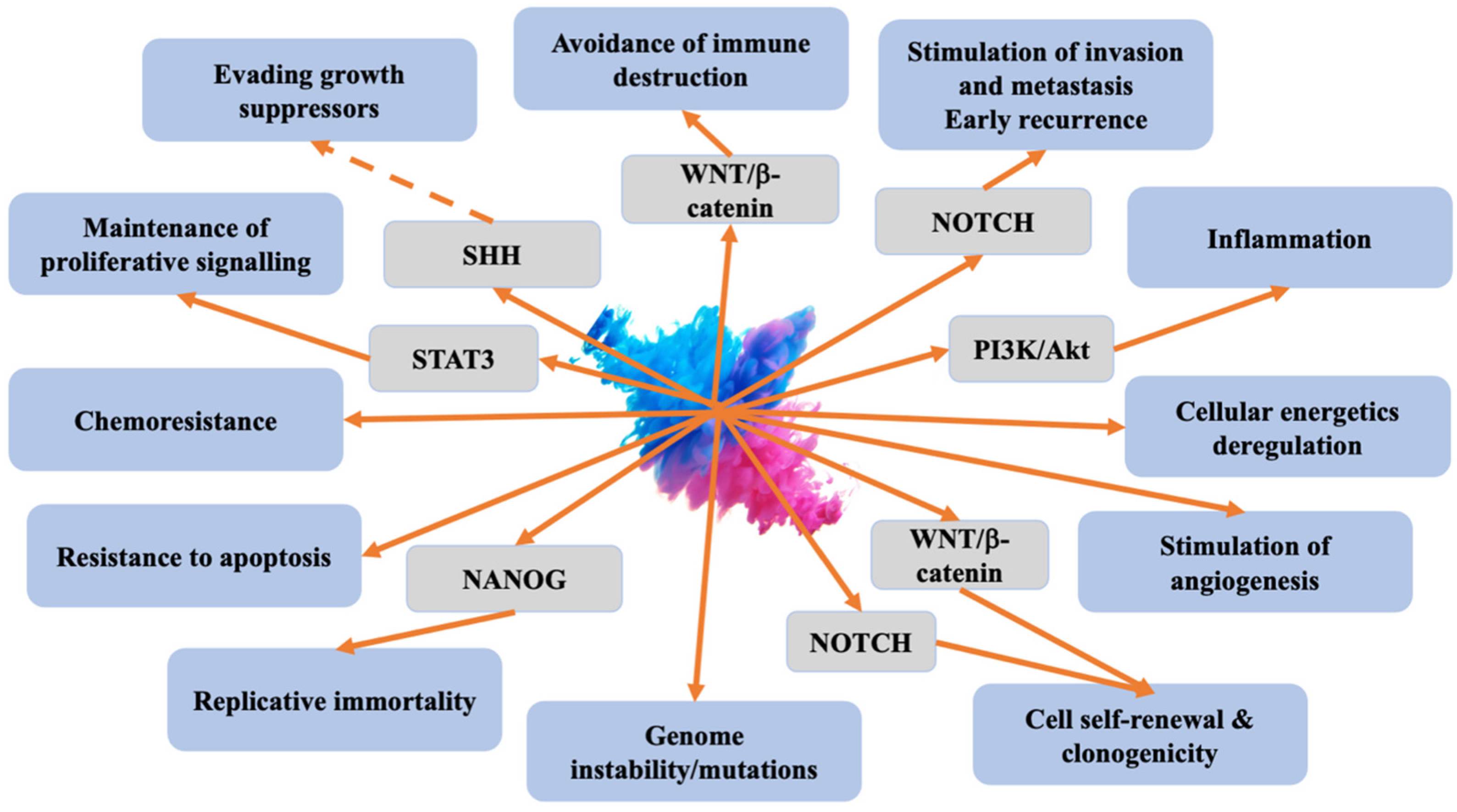 Cancers 16 00040 g001 Cancers 16 00040 g001