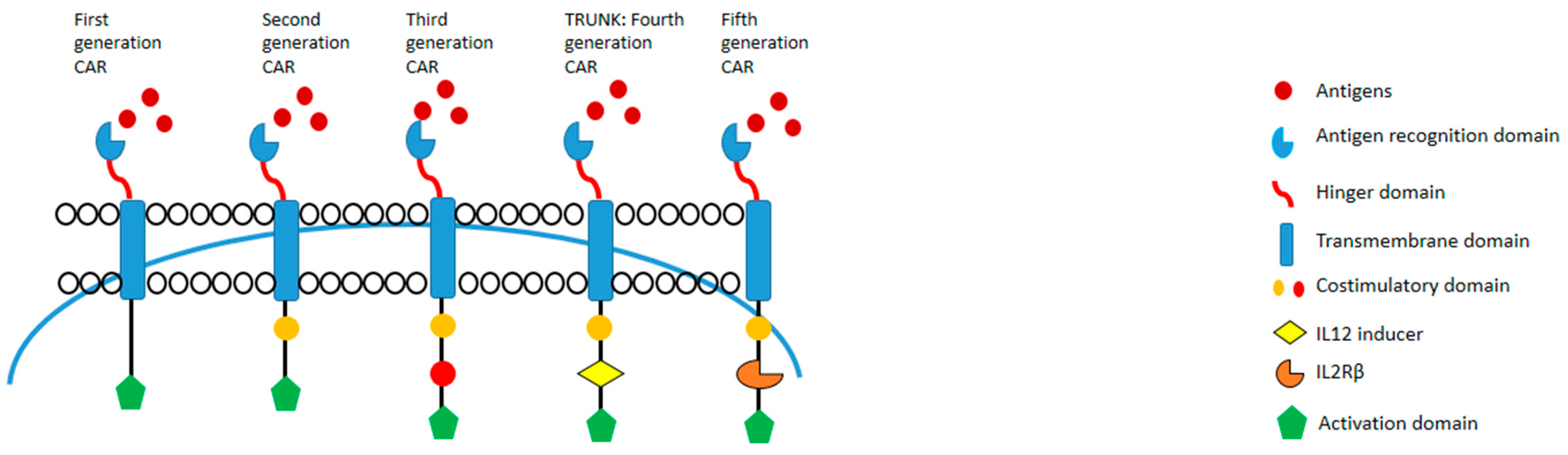 Cancers 16 00042 g002